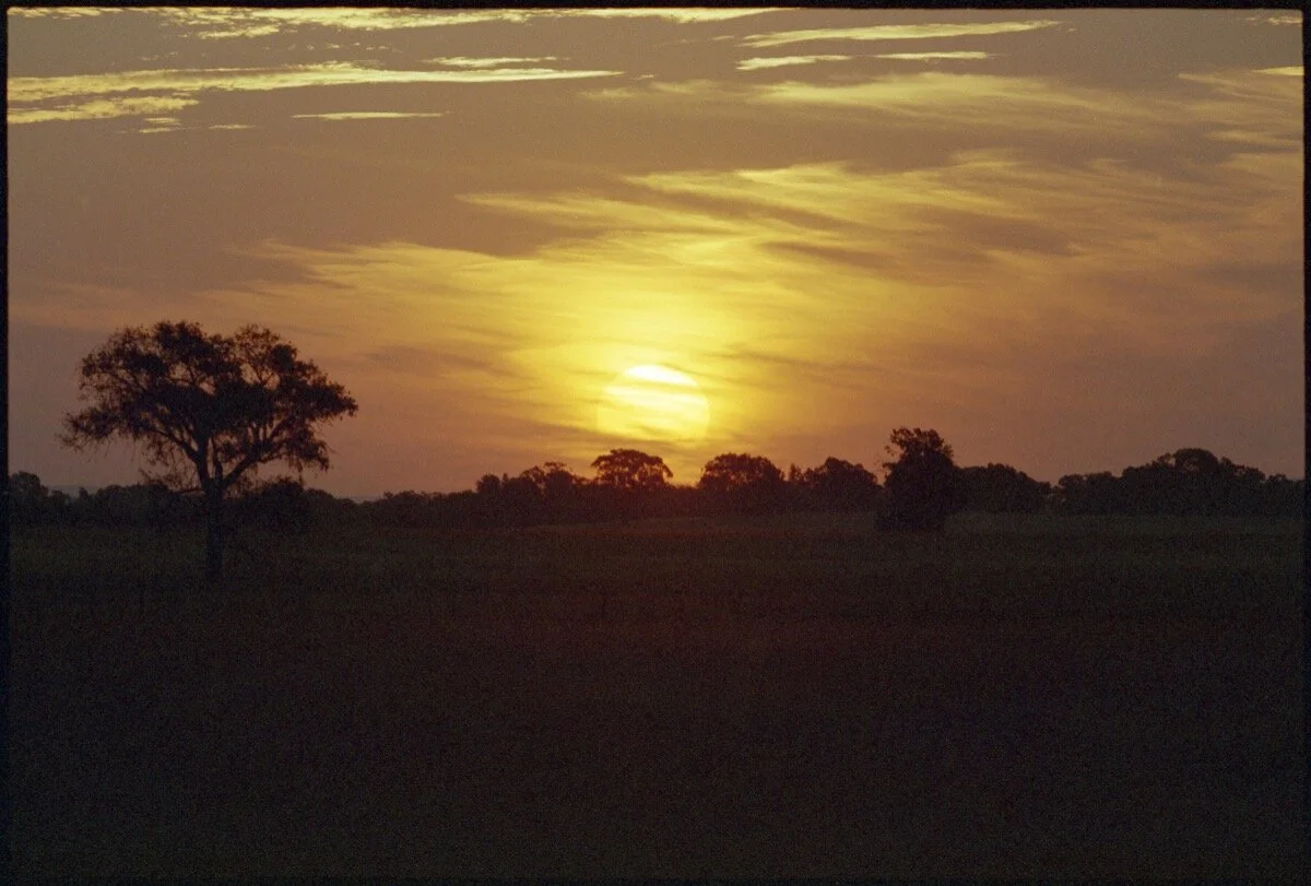 028 Menindee RT17_081.jpg