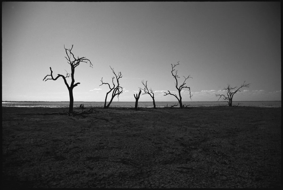 031 Menindee RT17_256.jpg