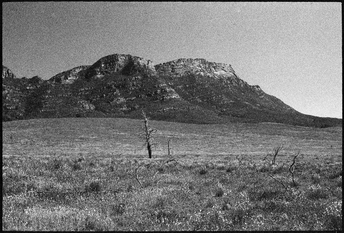067 SA-RT '16_411.jpg