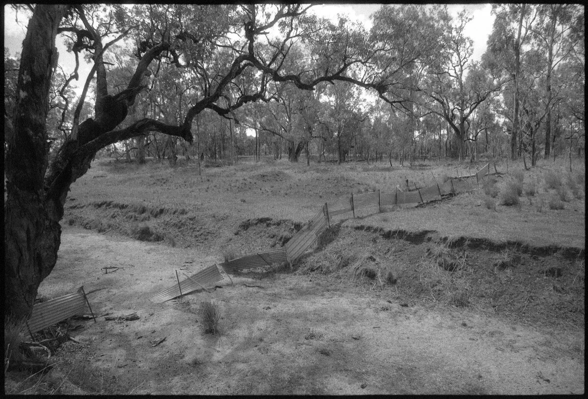 074 NSW-QLD '18_233.jpg