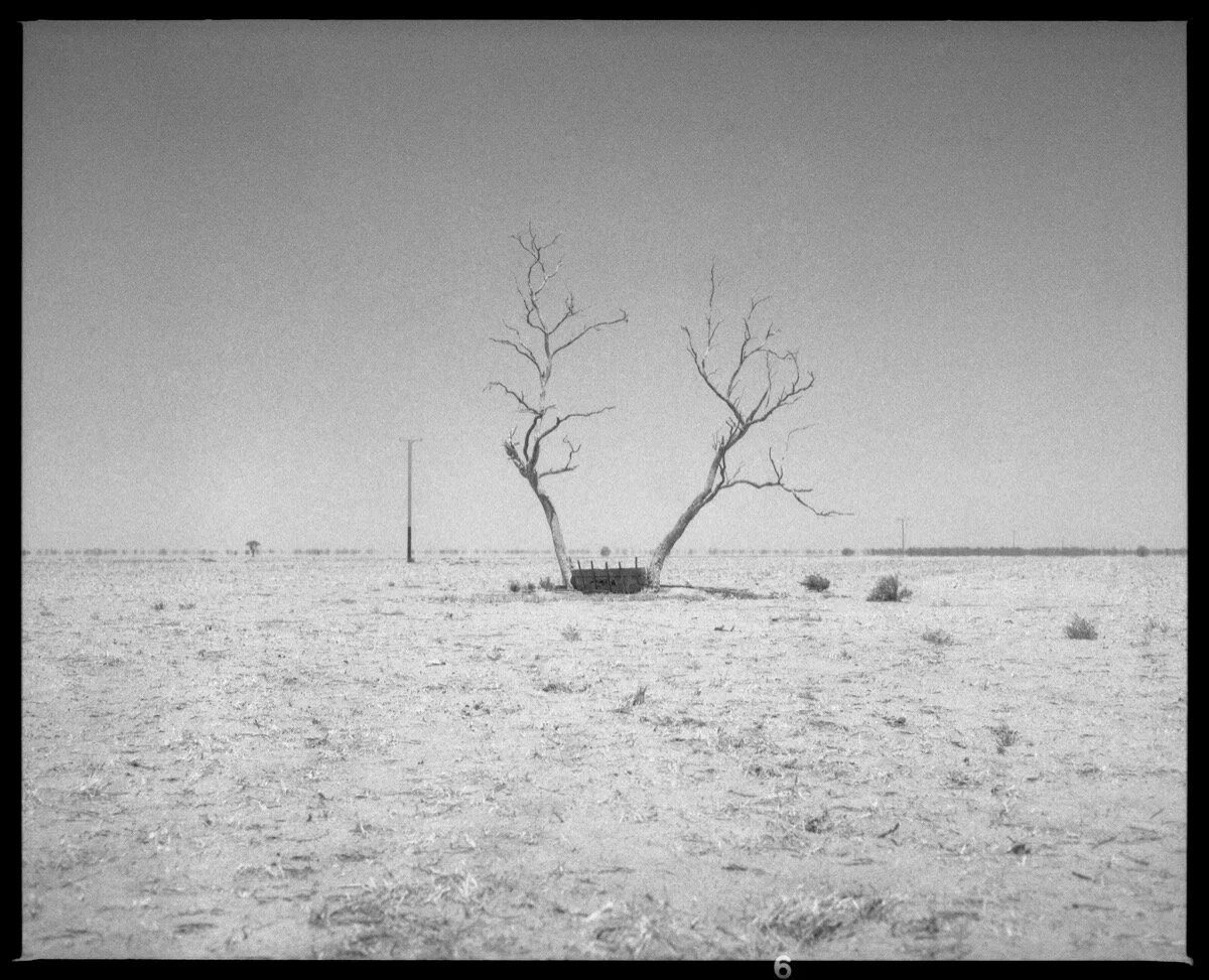 107 NSW-QLD '18_340.jpg