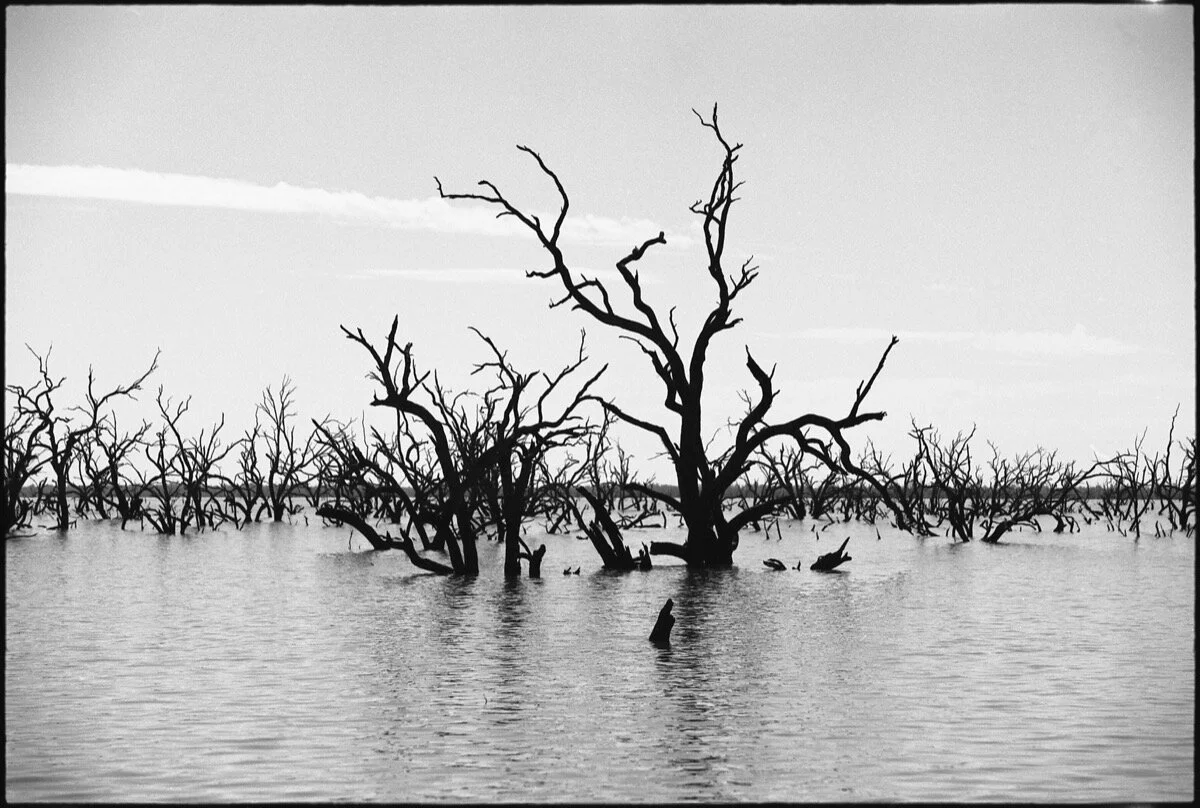 117 Menindee RT17_232.jpg