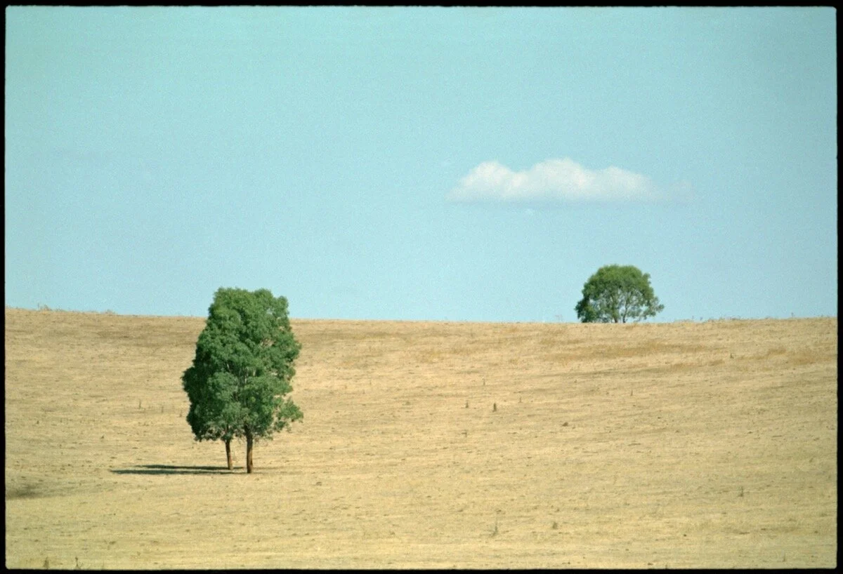 OW28 Gundagai_046a.jpg