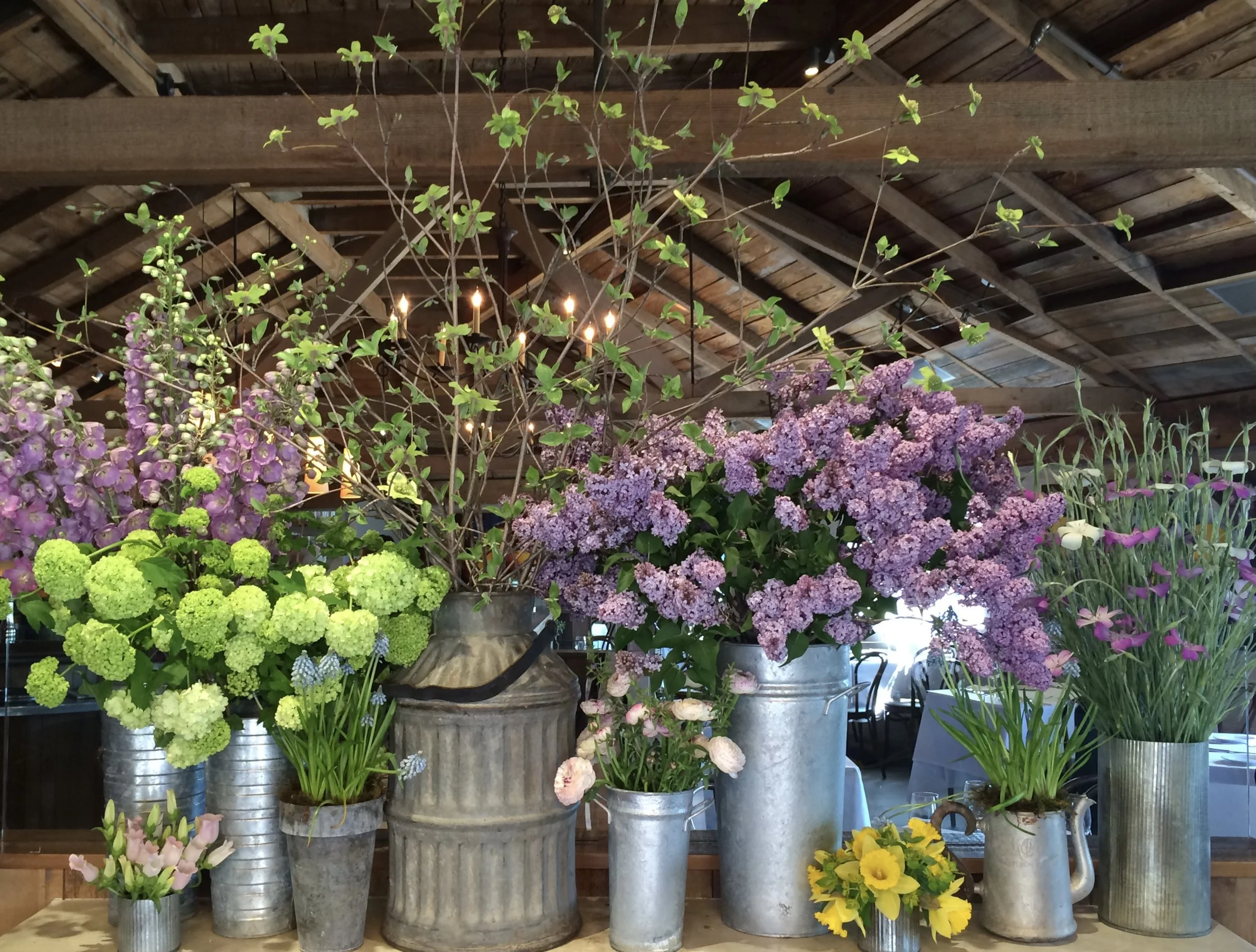 Angèle Restaurant & Bar