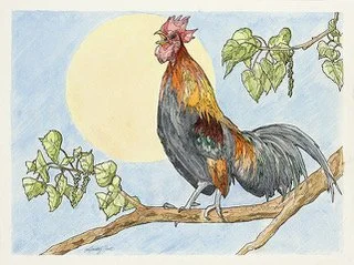 Crow at the Sun.jpeg