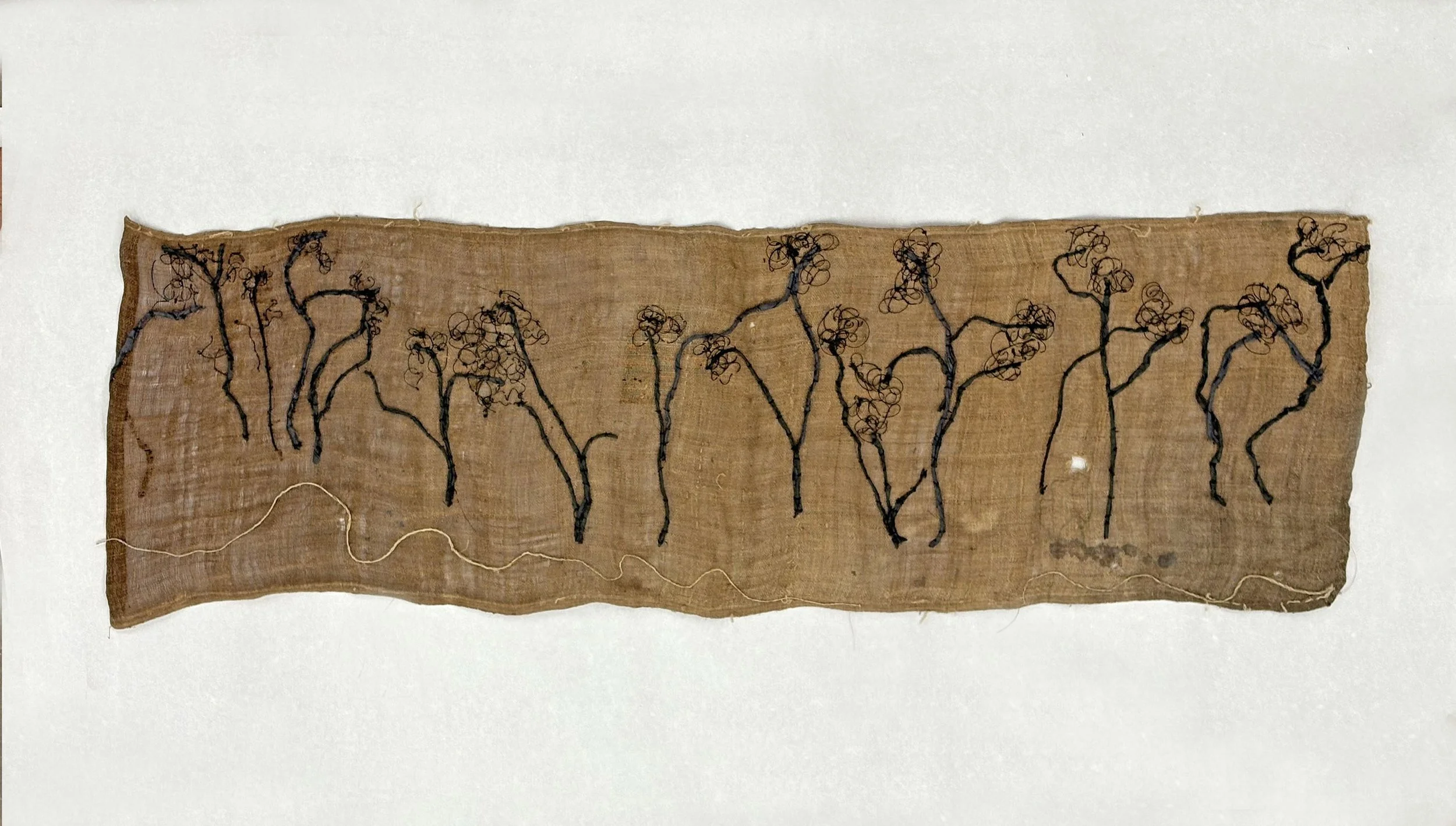 Bosque+Winter_Susan Allison Hatch.jpg