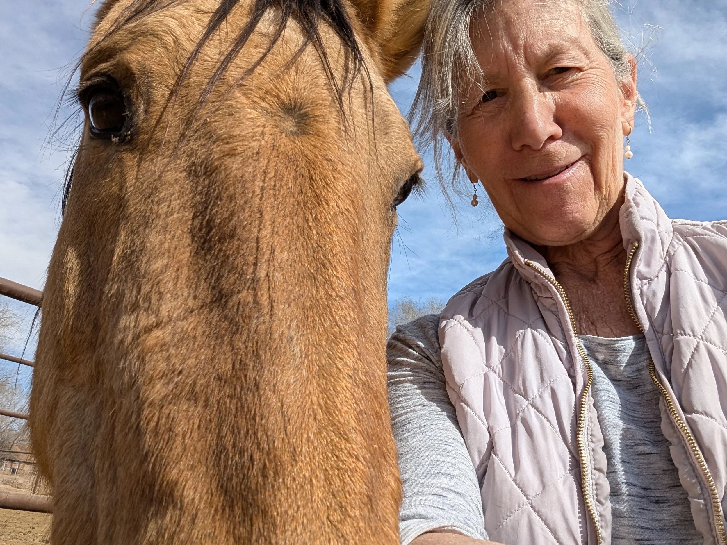 Animal Communication Workshop with Vivian Kallmann