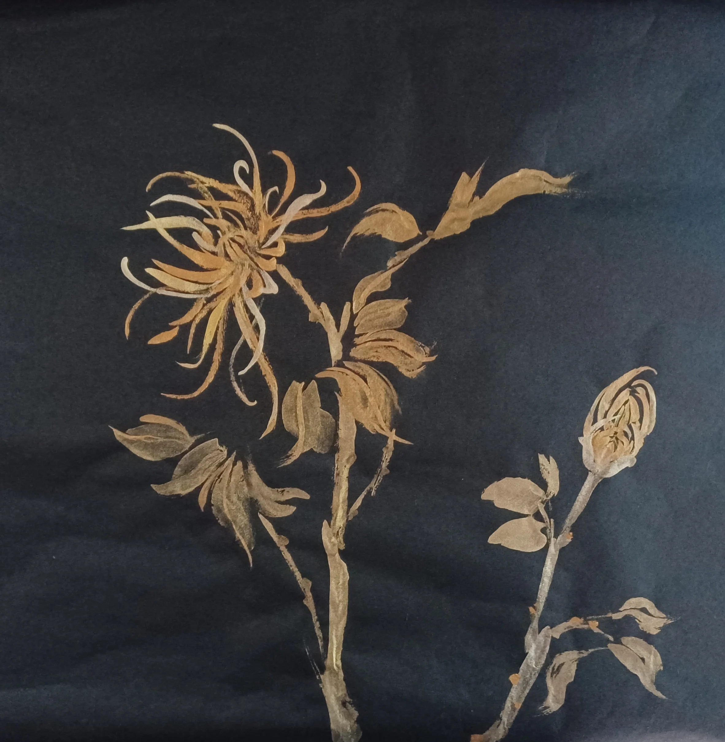 Liz black chrysanthamun.jpg