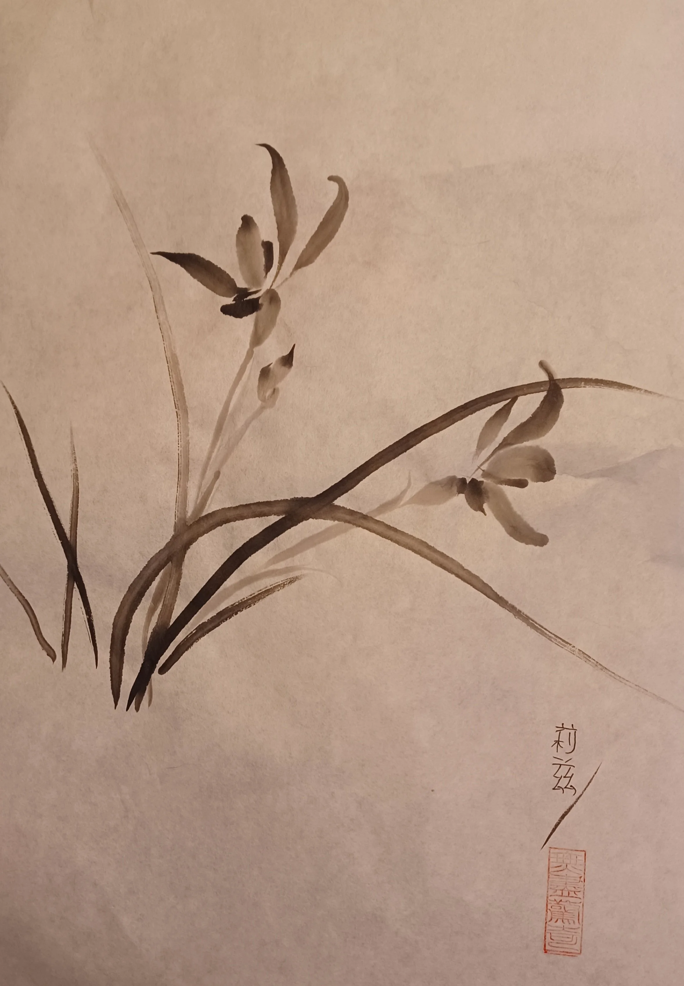 Liz orchid.jpg