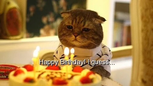 Why Growing Up Doesn't Have to Suck