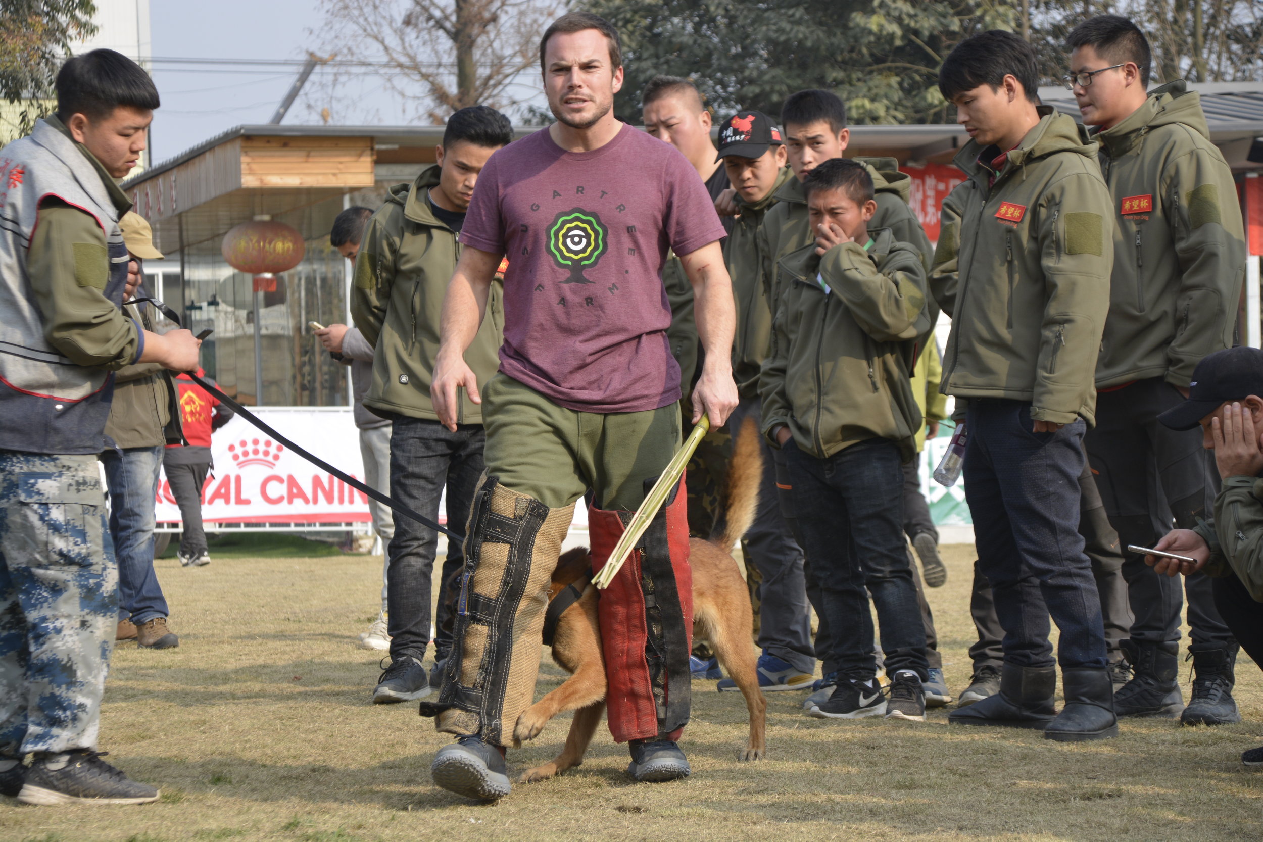 forrest micke heeling