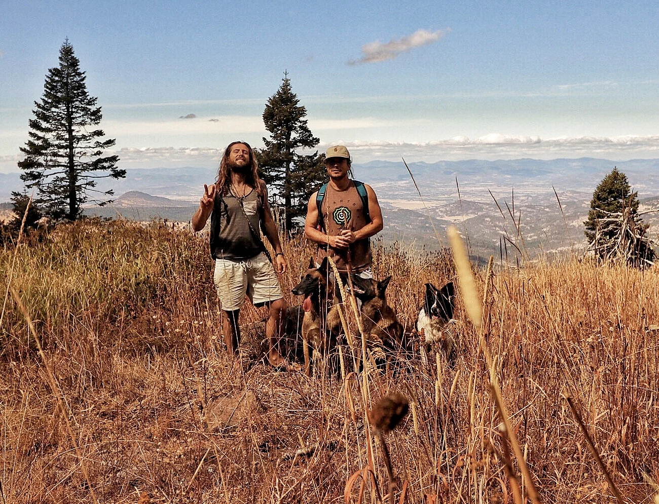 forrest micke heeling