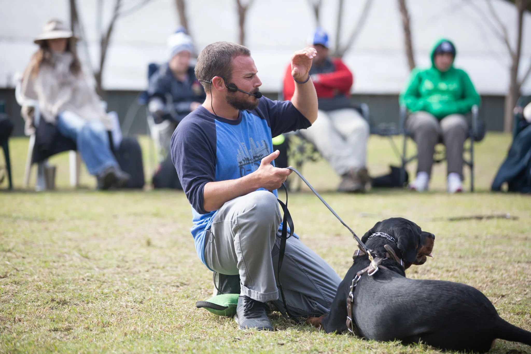 forrest micke heeling