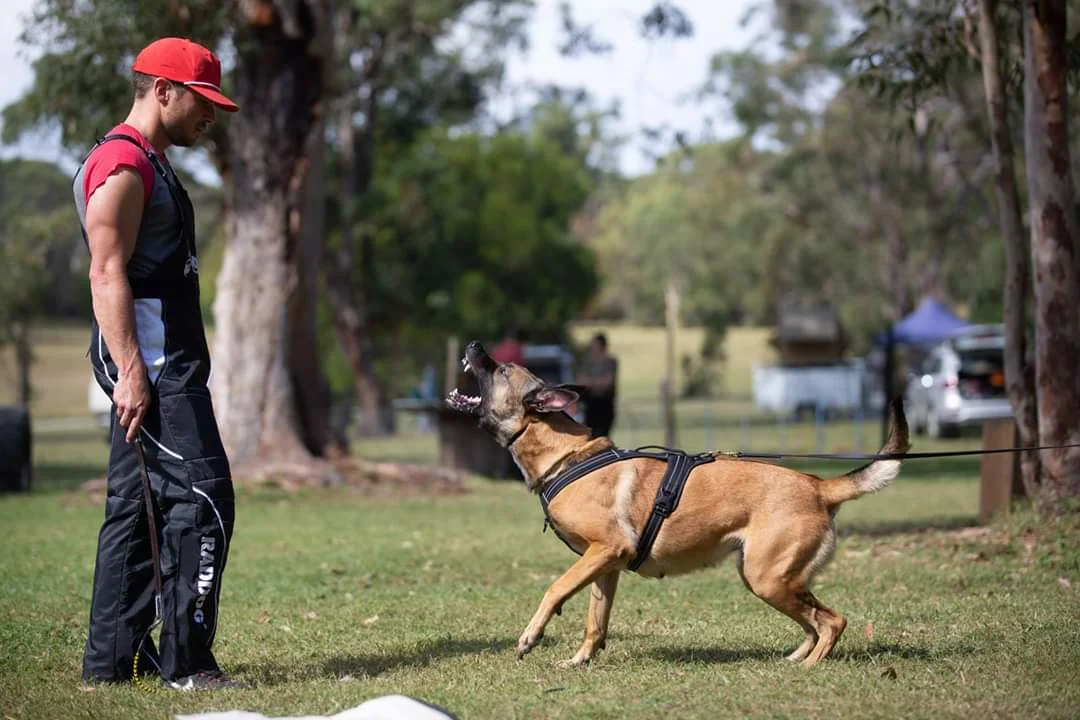 forrest micke heeling