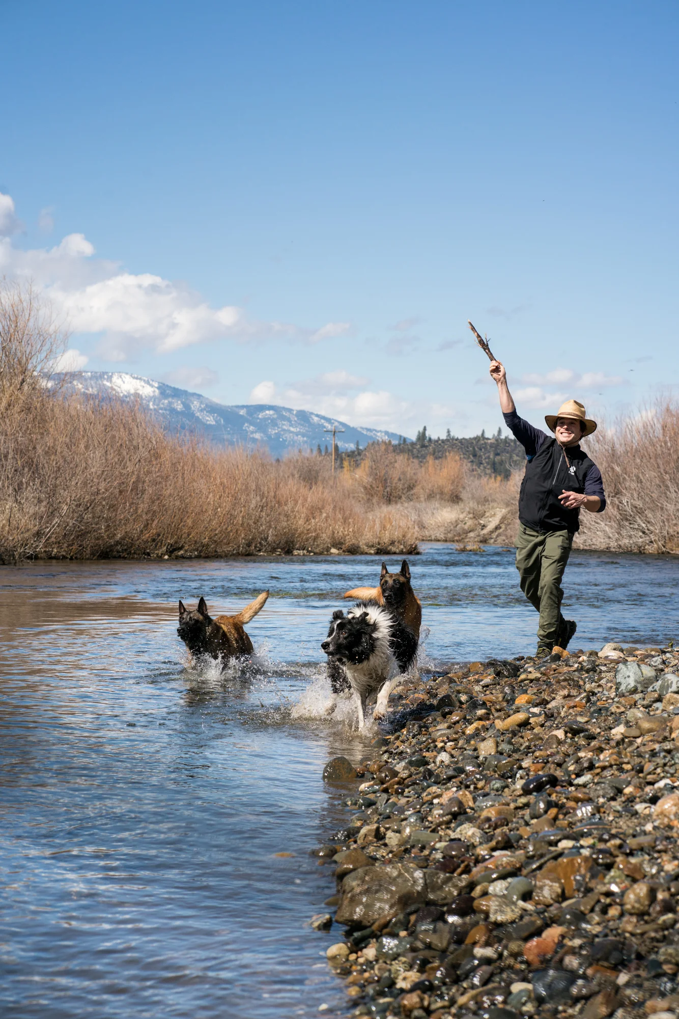 forrest micke heeling