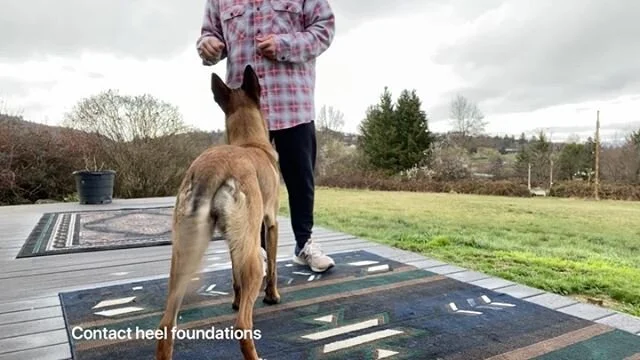 forrest micke heeling