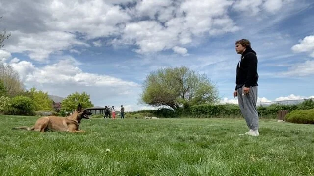 forrest micke heeling