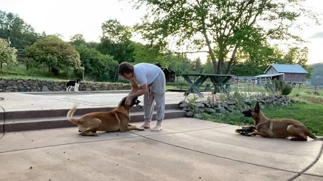 forrest micke heeling