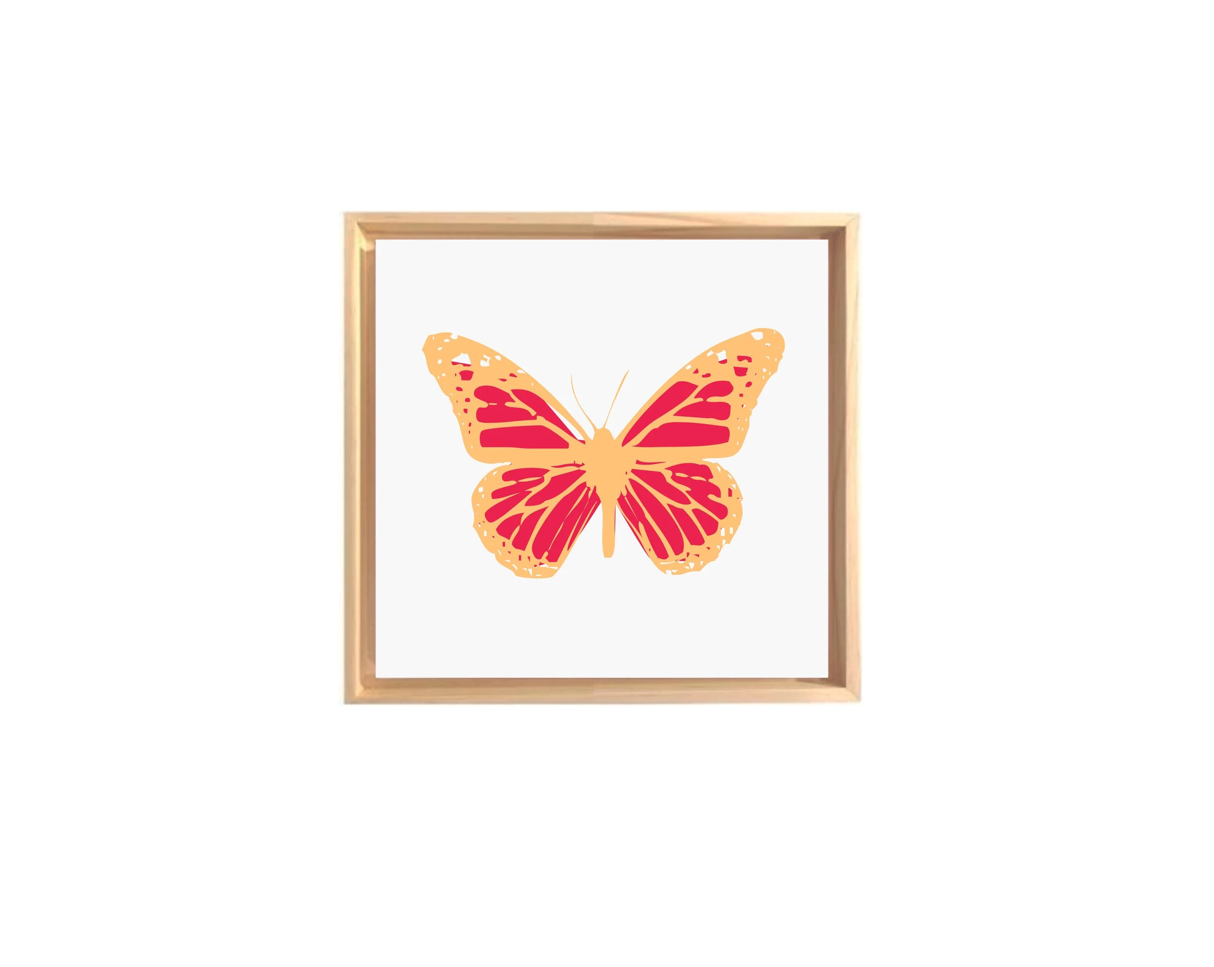 NM_quadros_borboleta 02_canvas quadrado.jpg