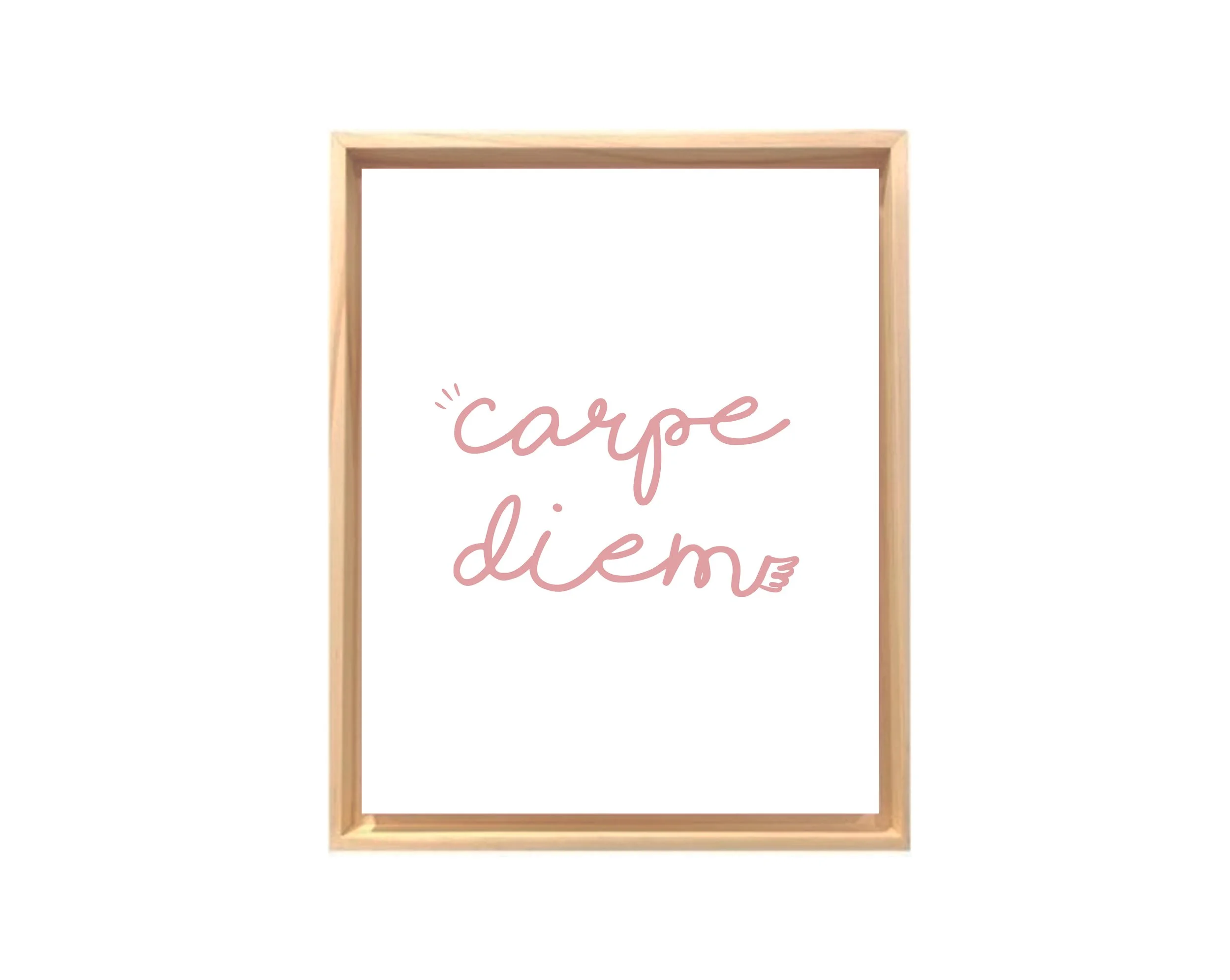 NM_quadros_carpe diem rosa_Canvas.jpg