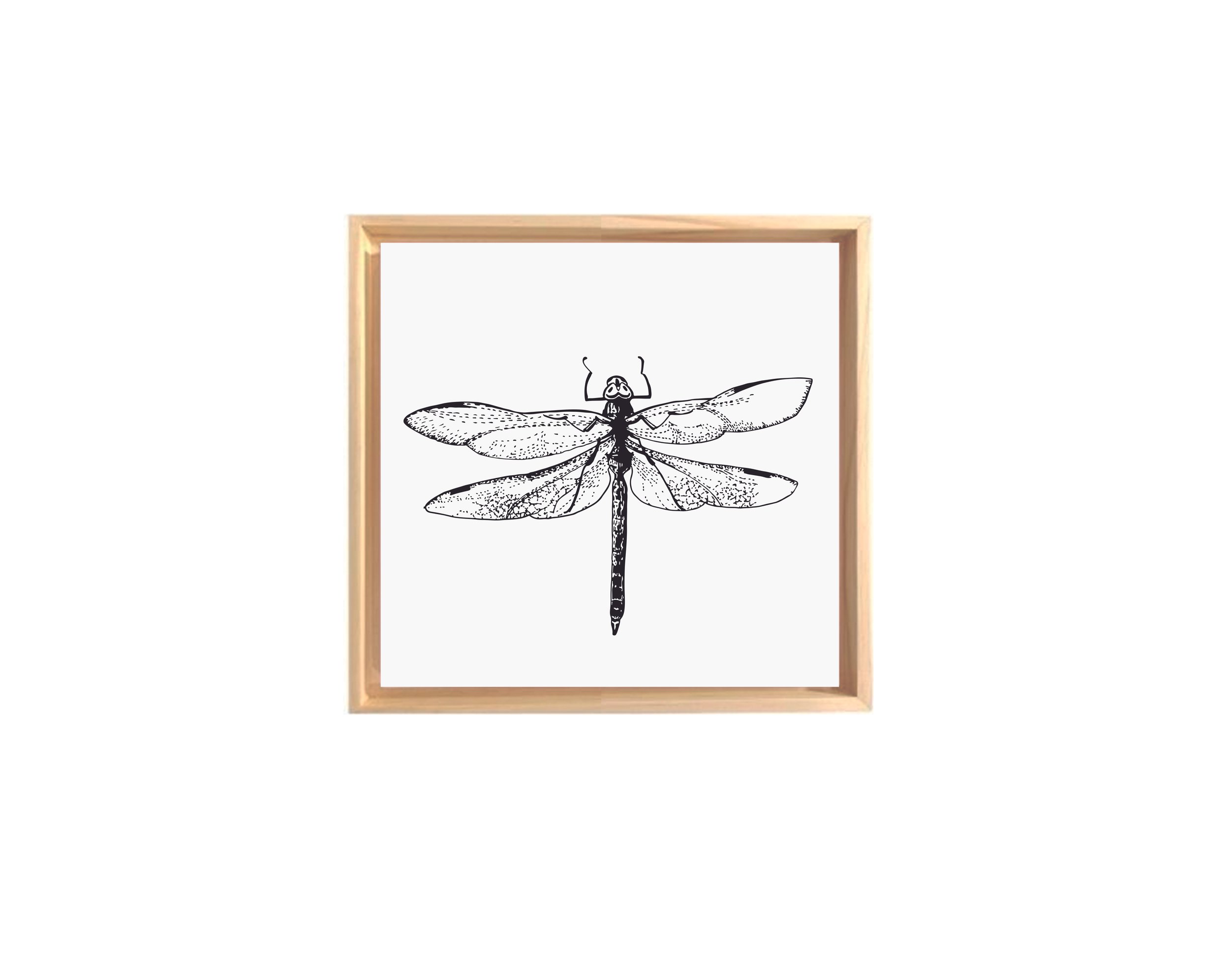 NM_quadros_libelula pb_Moldura canvas quadrada.jpg