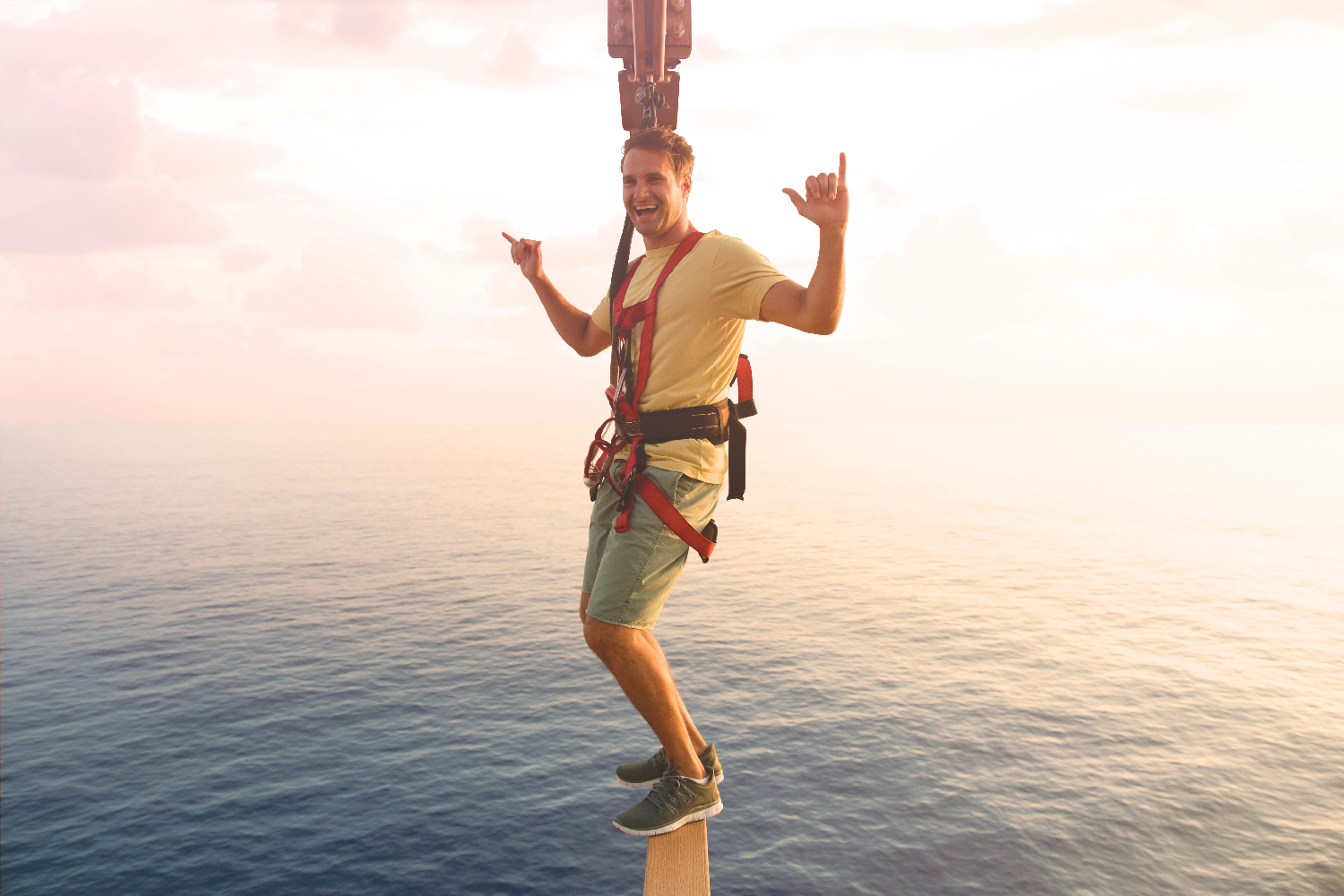 ncl_Gtwy_Plank_1893.jpeg