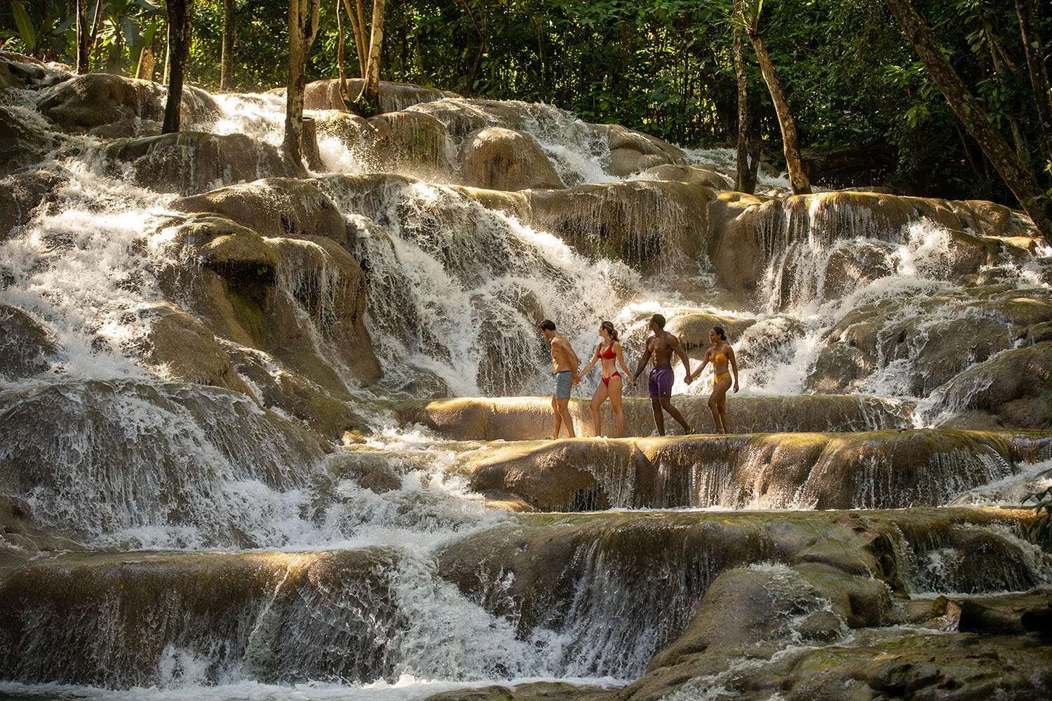 COPY: KELLY LISZT ~ AD | CD | DIRECTOR: PETER BAEDITA