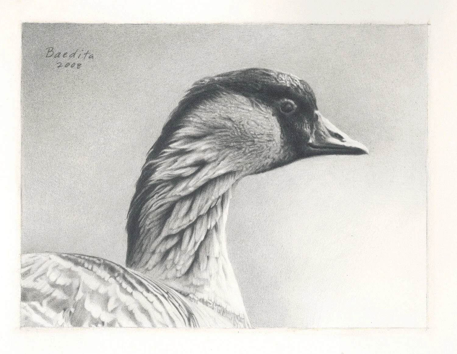 Nene Goose ~ Graphite