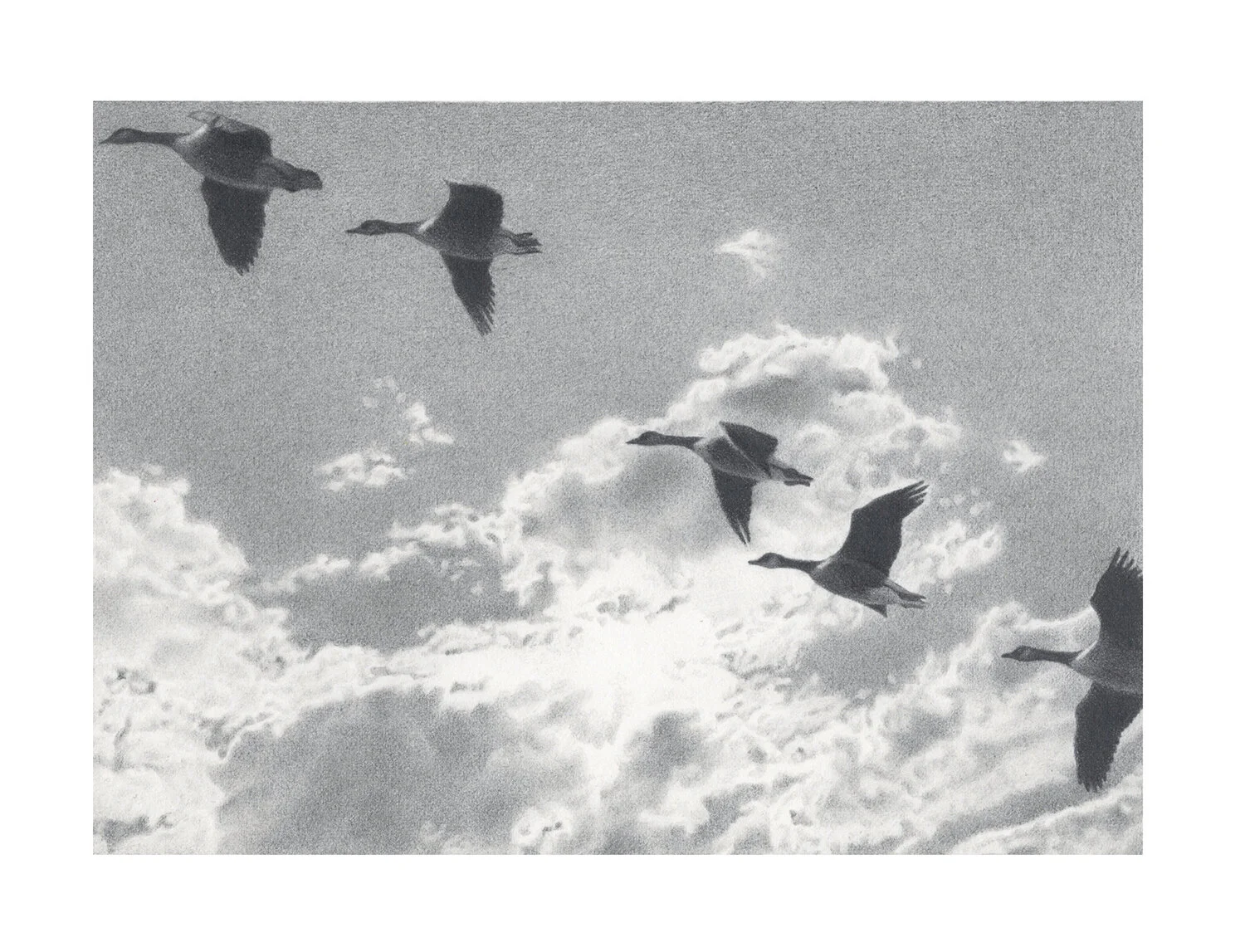 Heading Out ~ Graphite