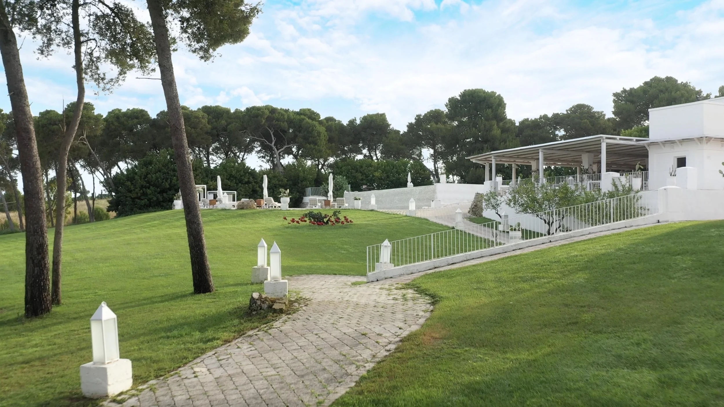 AD | COPY | CD | DIRECTOR