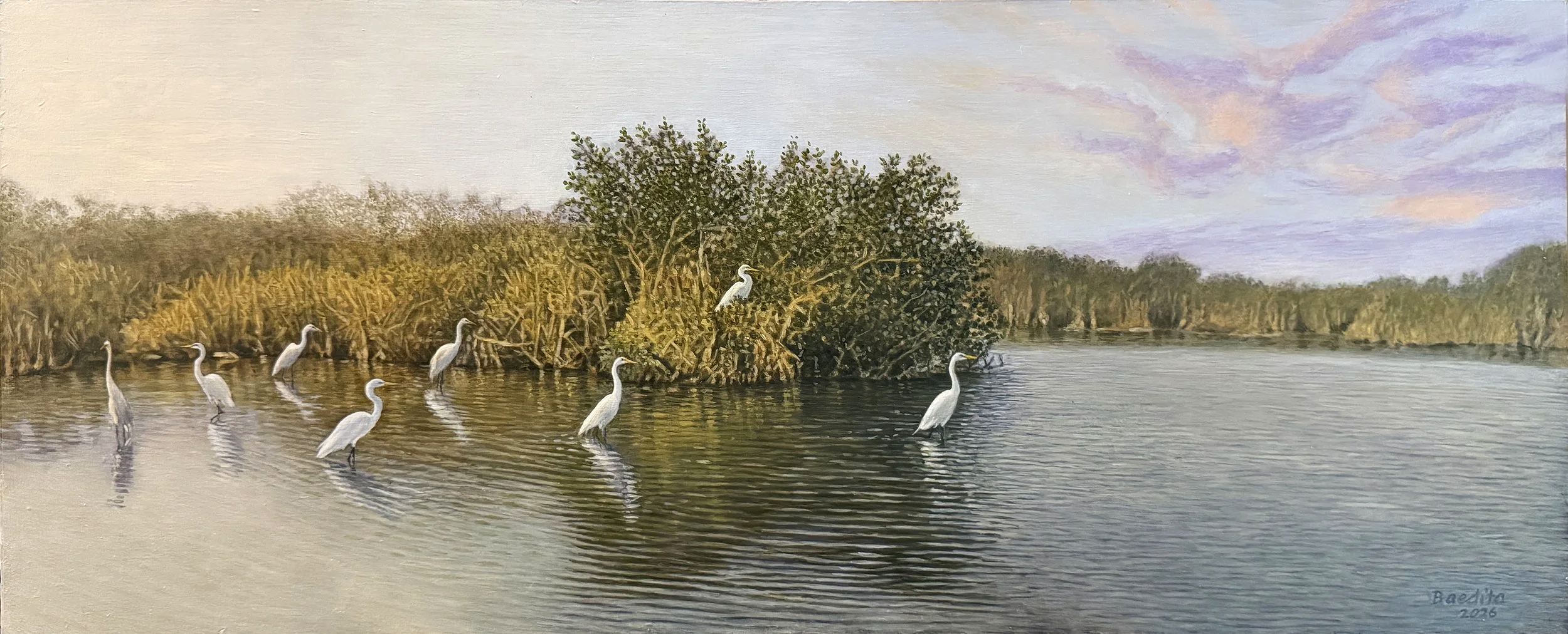 Everglades Morning – Acrylic