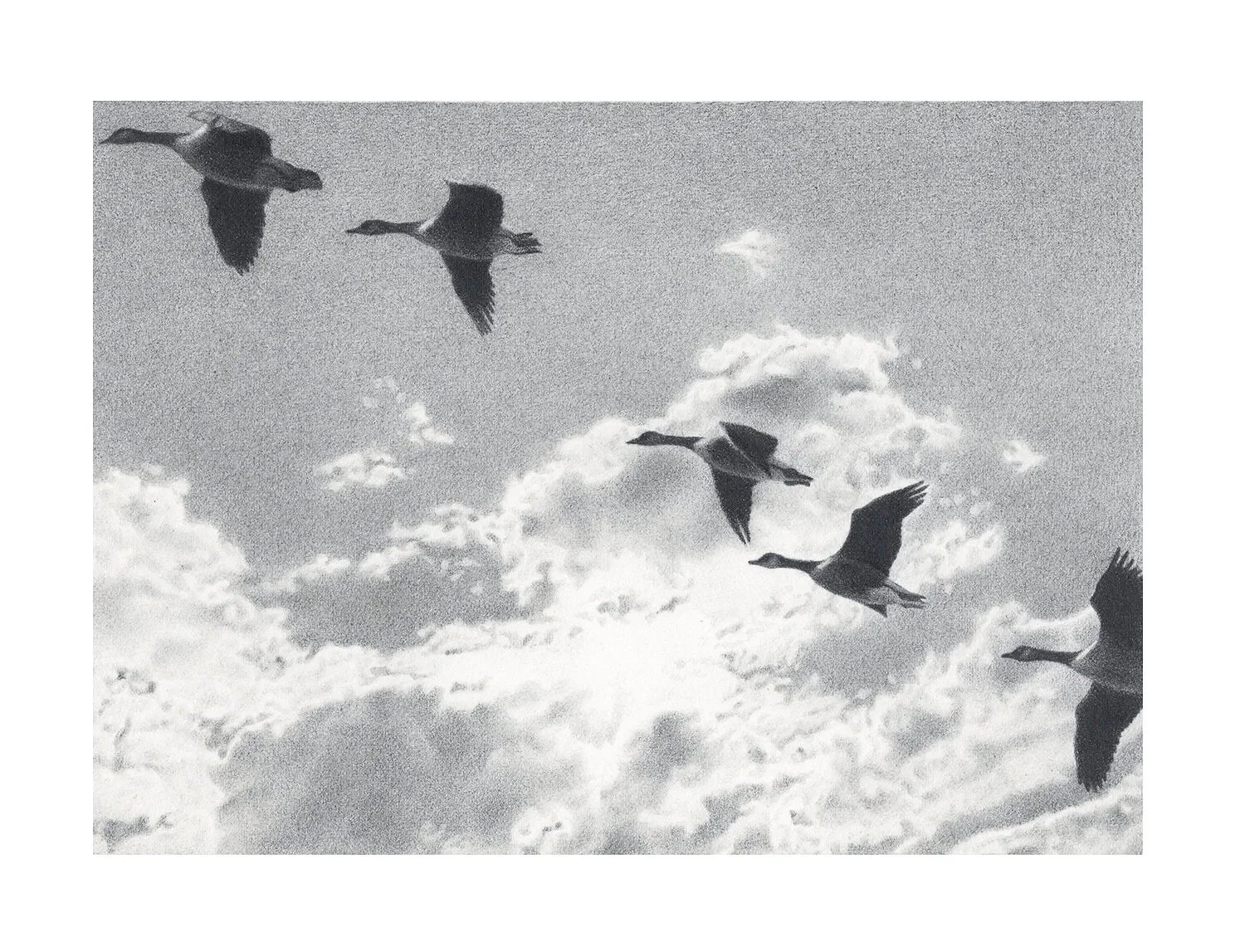 Heading Out ~ Graphite