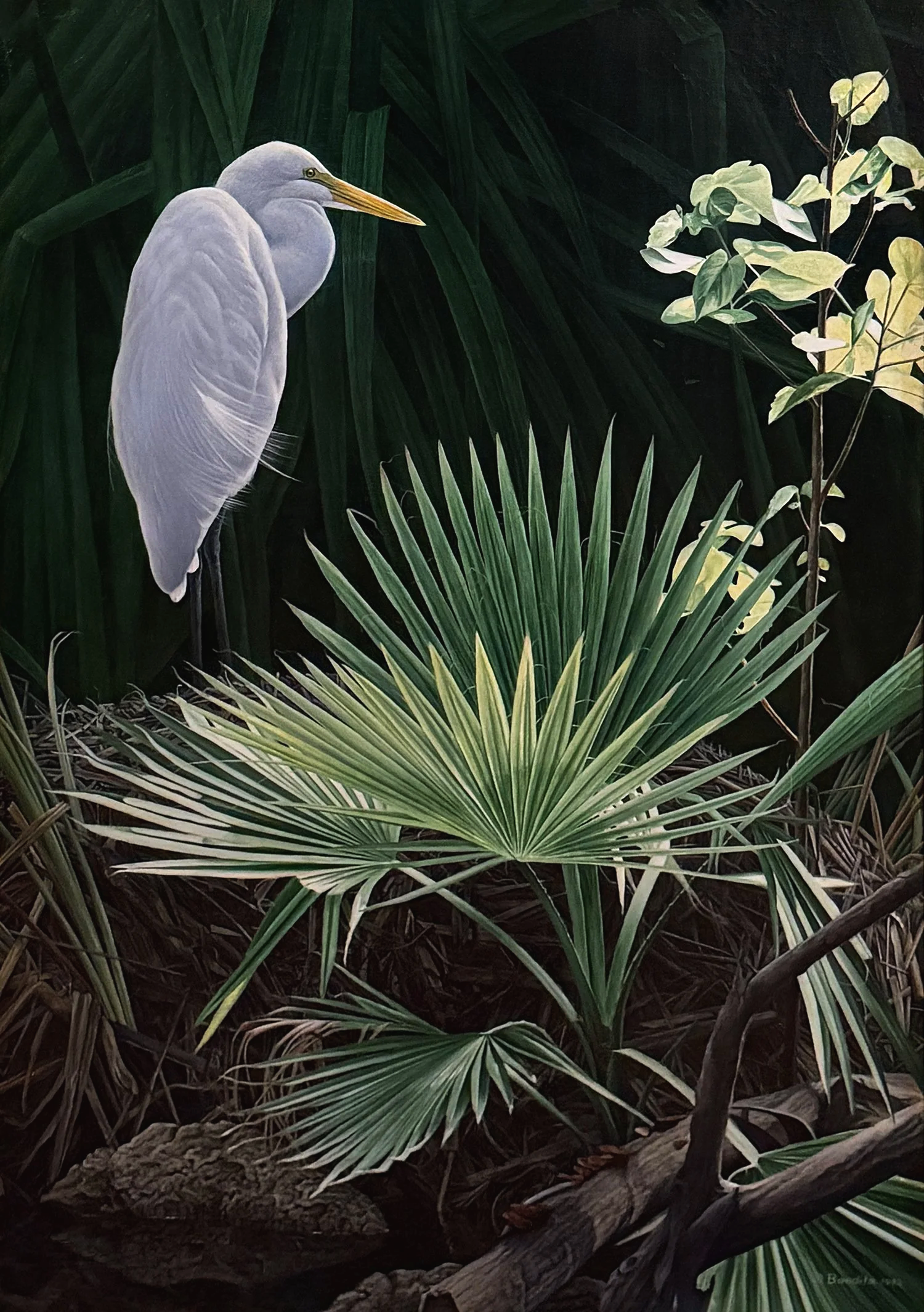 Great Egret and Alligator's Nest – Acrylic on Linen