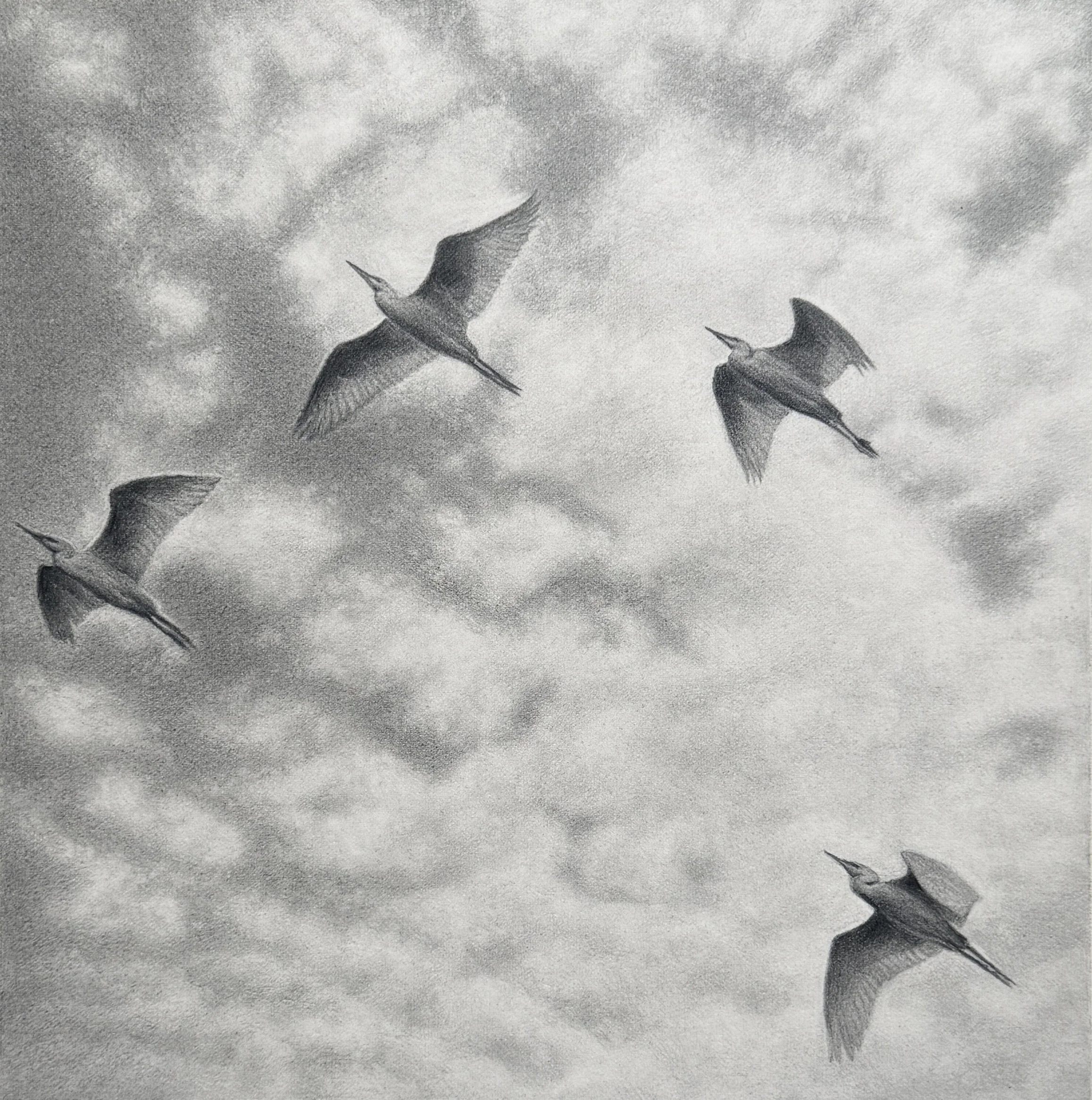 GENTLE FLIGHT — GRAPHITE