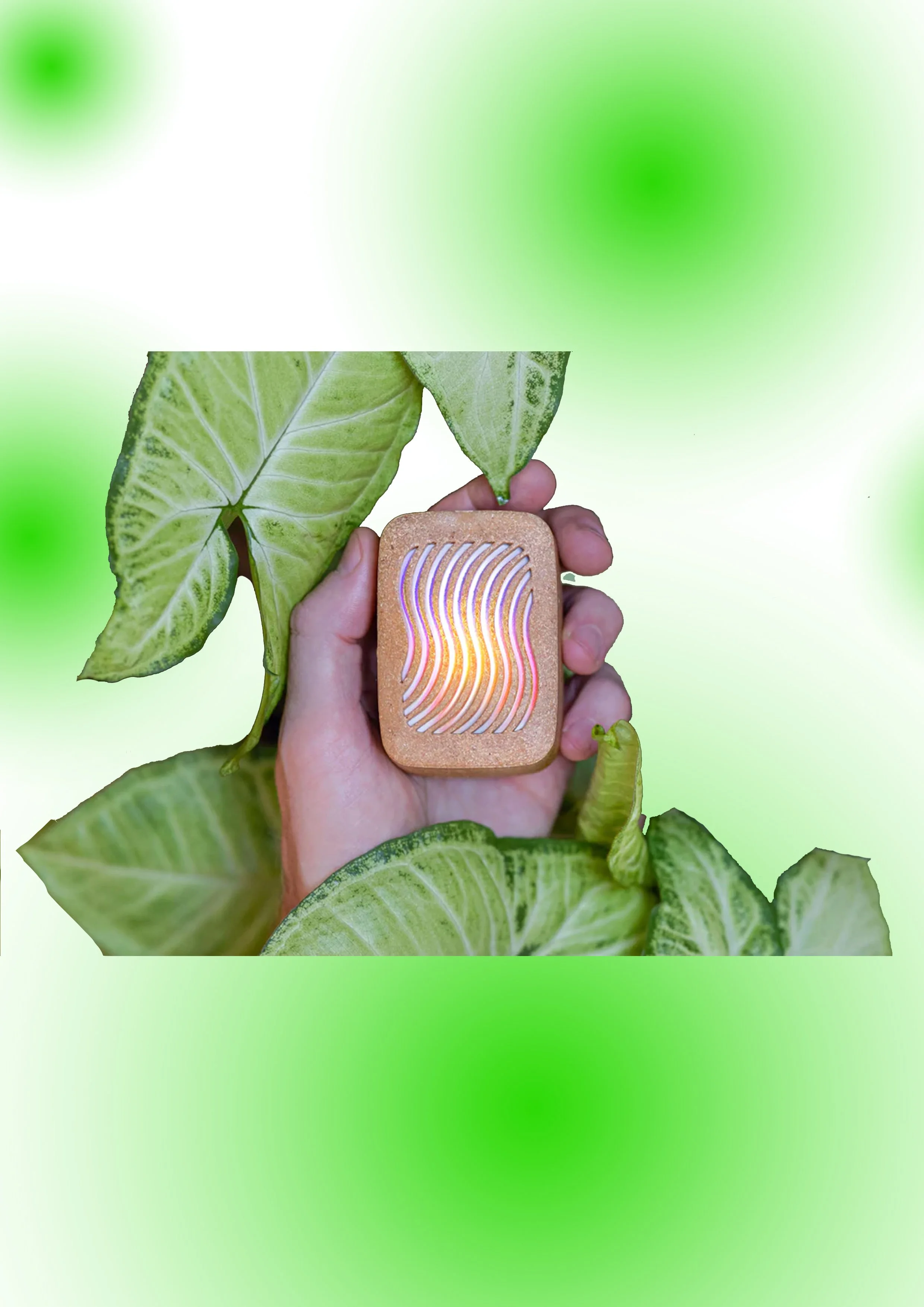 natureposterinstrument 2.jpg