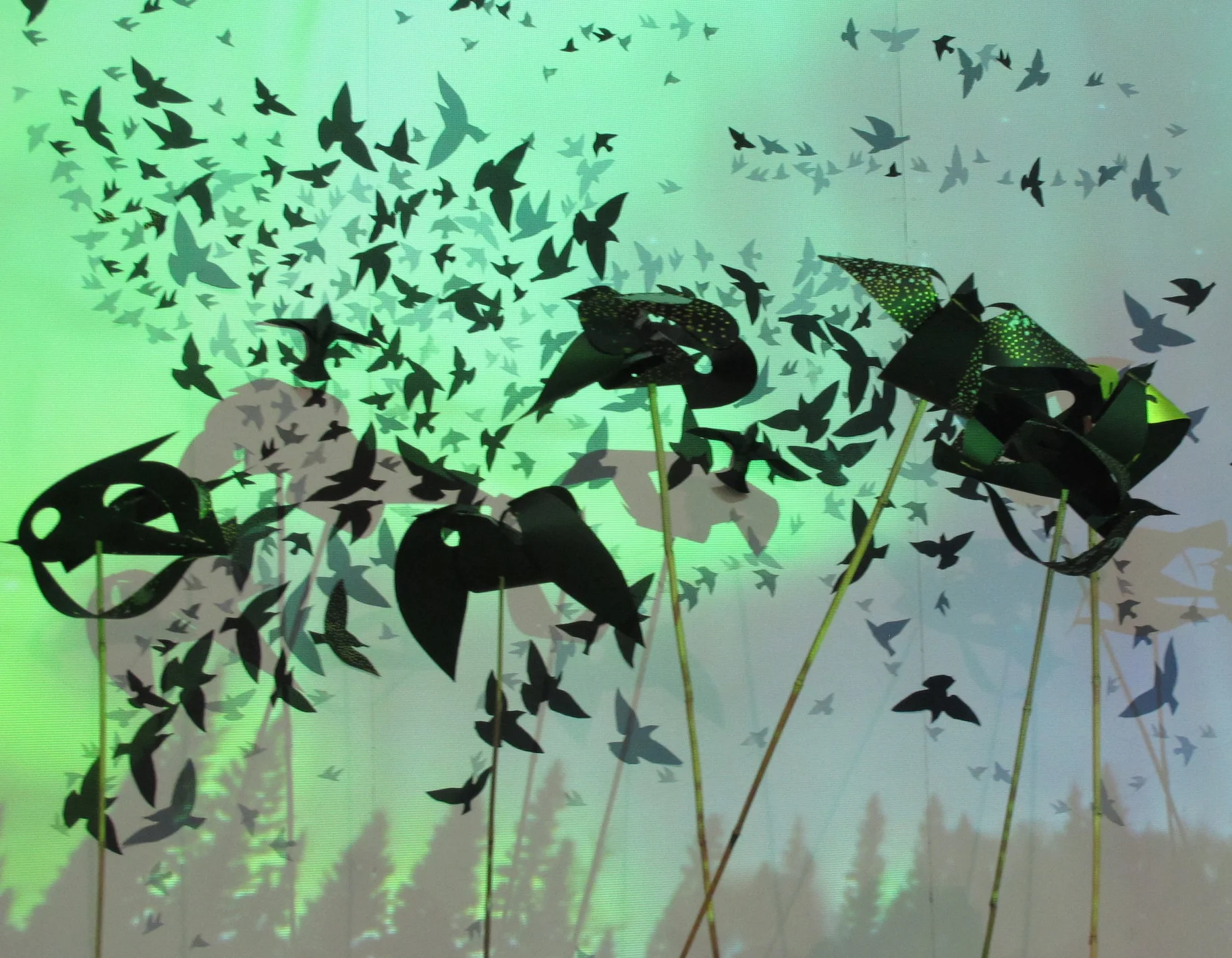 Detail of Murmuration 2016