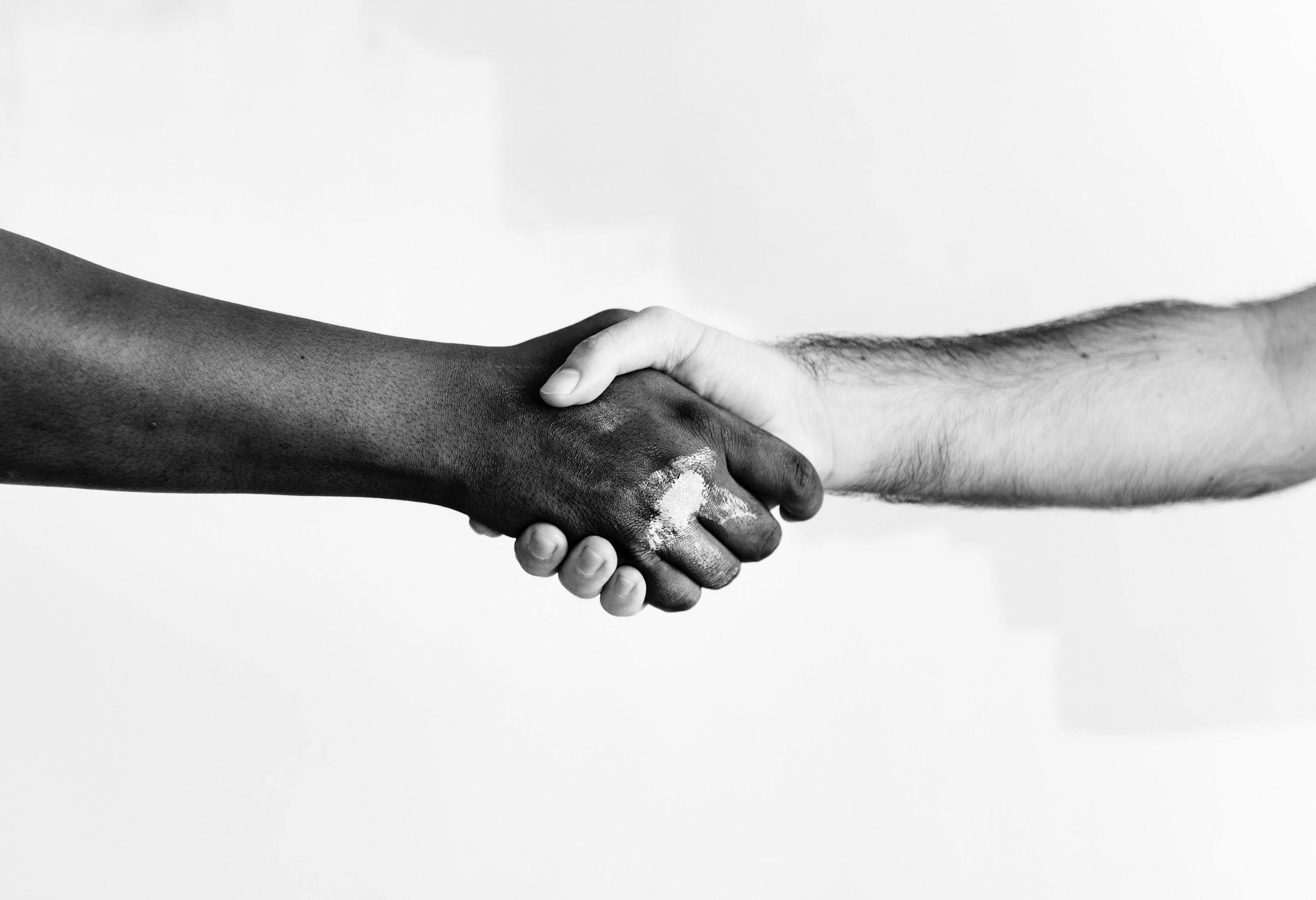 agreement-black-and-white-color-1389098.jpg