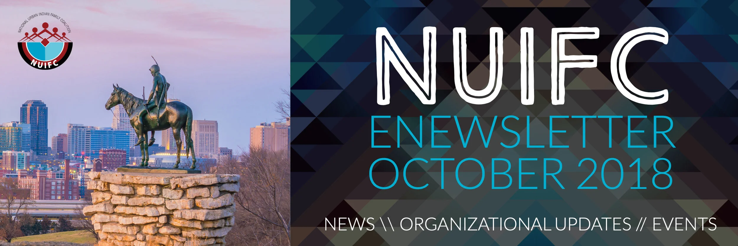 NUIF eNewsletter.jpg