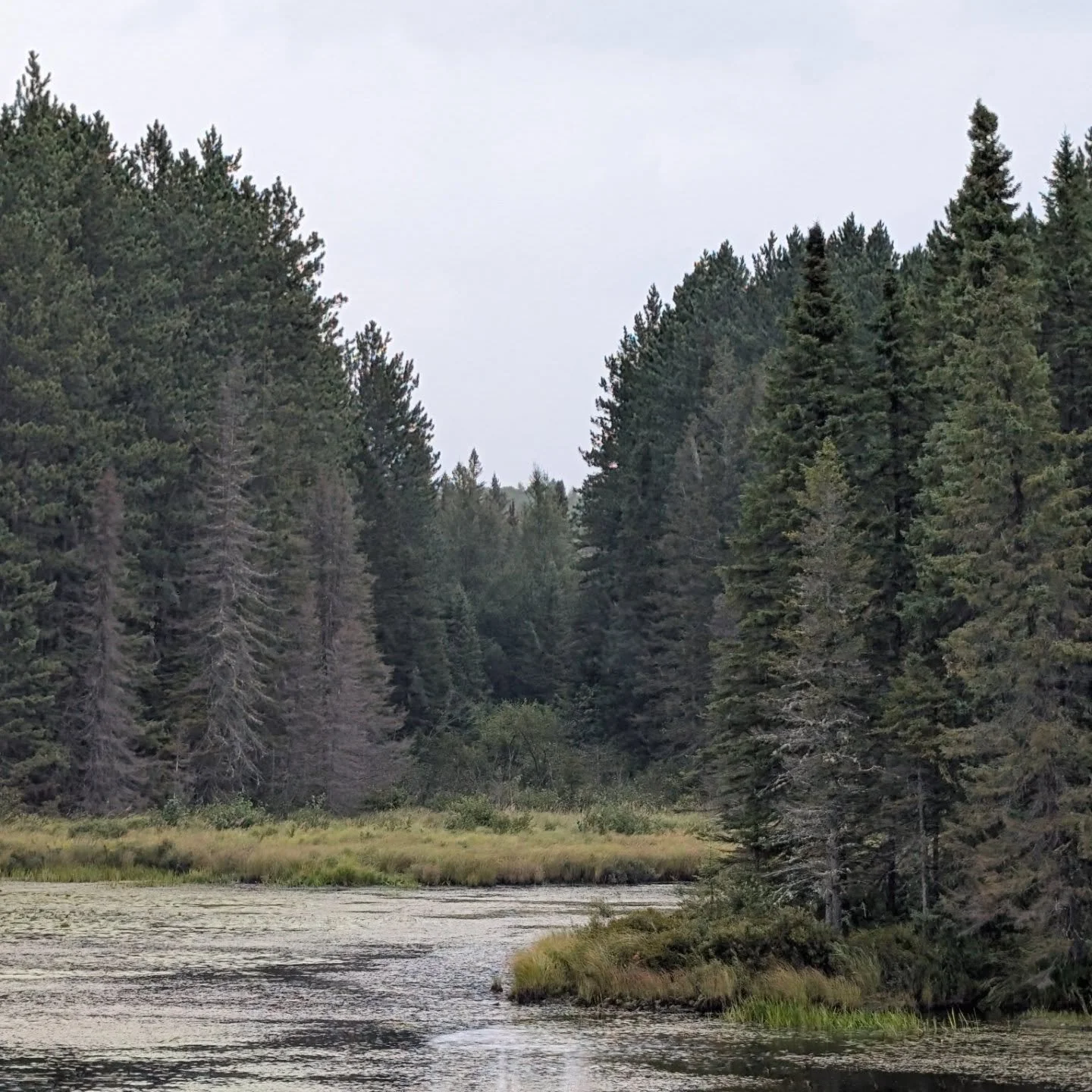 Nature was naturing - I was not.