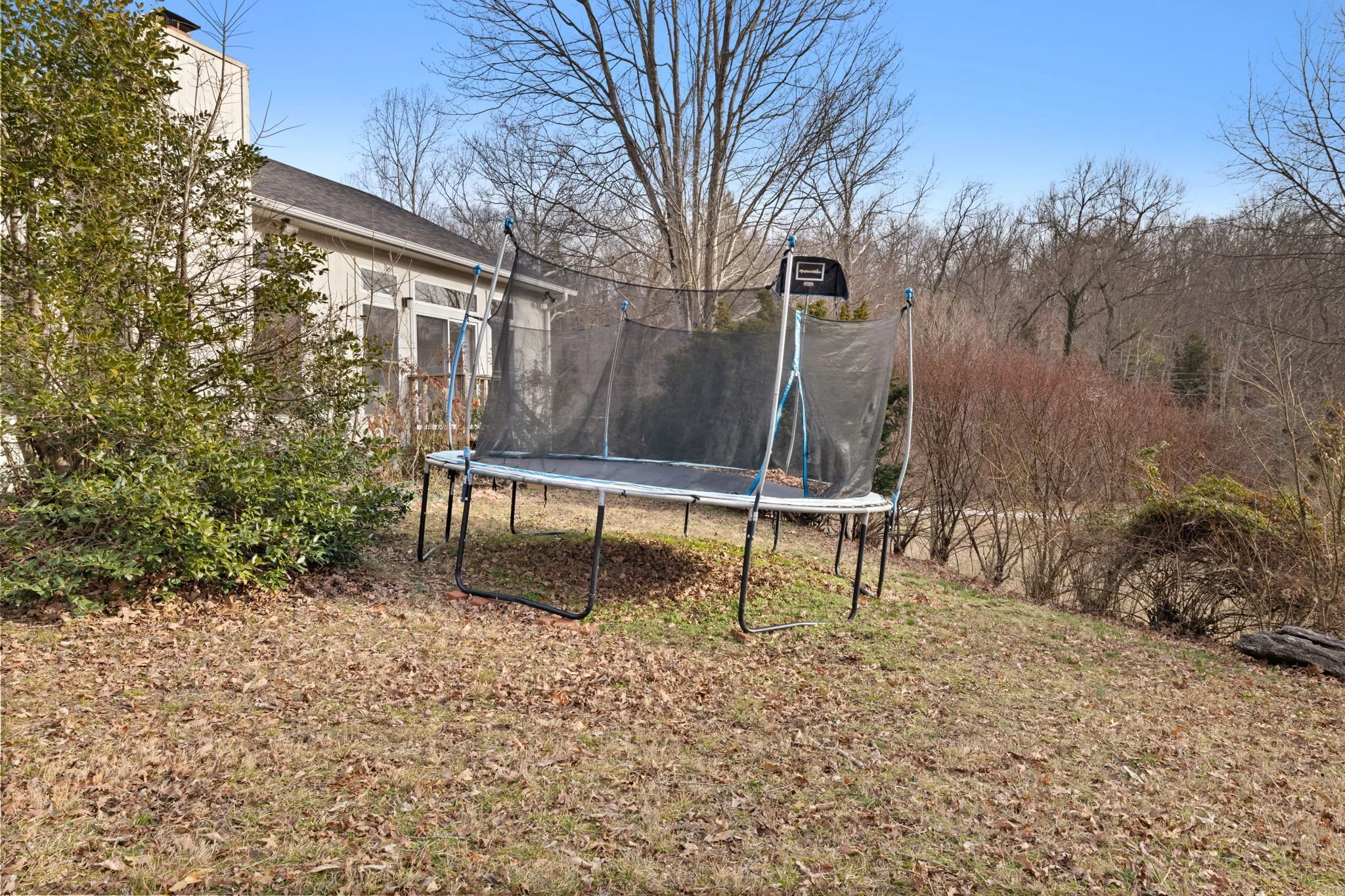 Trampoline for the kids! 