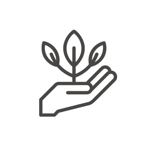 Simple line drawing of a hand holding a small plant with three leaves.