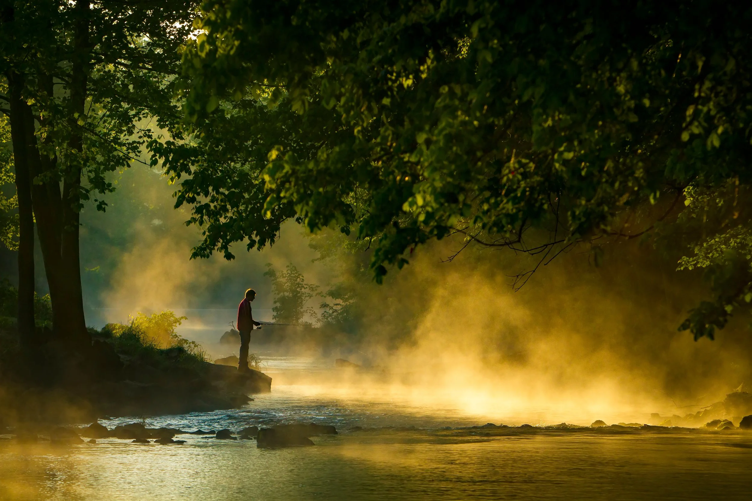 Roaring River State Park boasts one of the premier trout fisheries in the nation. Anglers flock to the river year round.