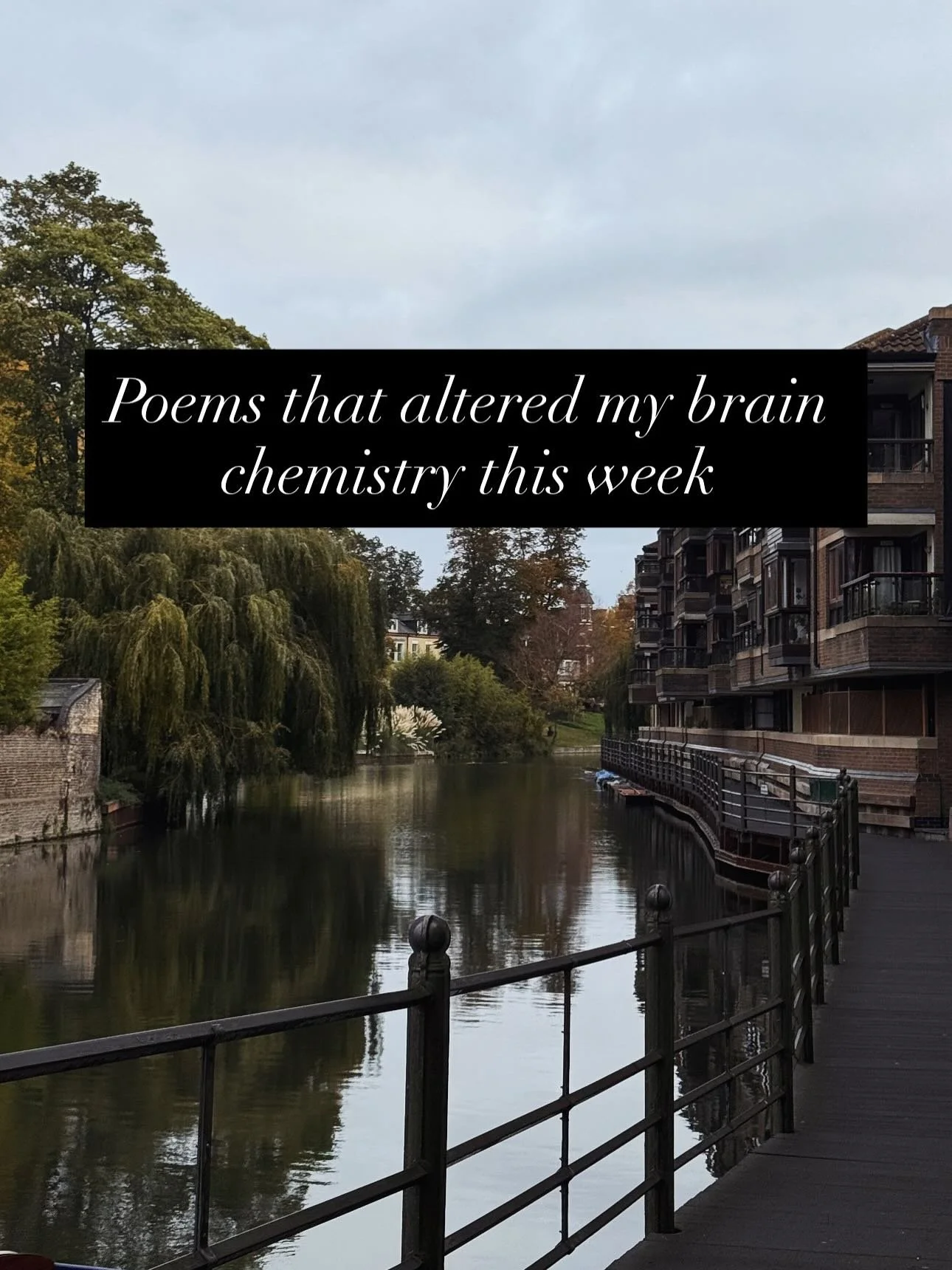 Stumbled across this poem in an anthology series I&rsquo;m reading and just couldn&rsquo;t help but share.

Although I found it as part of a larger body of work it is originally from a larger Tamil anthology series, Purananuru.💗
#poetrylovers #tamil