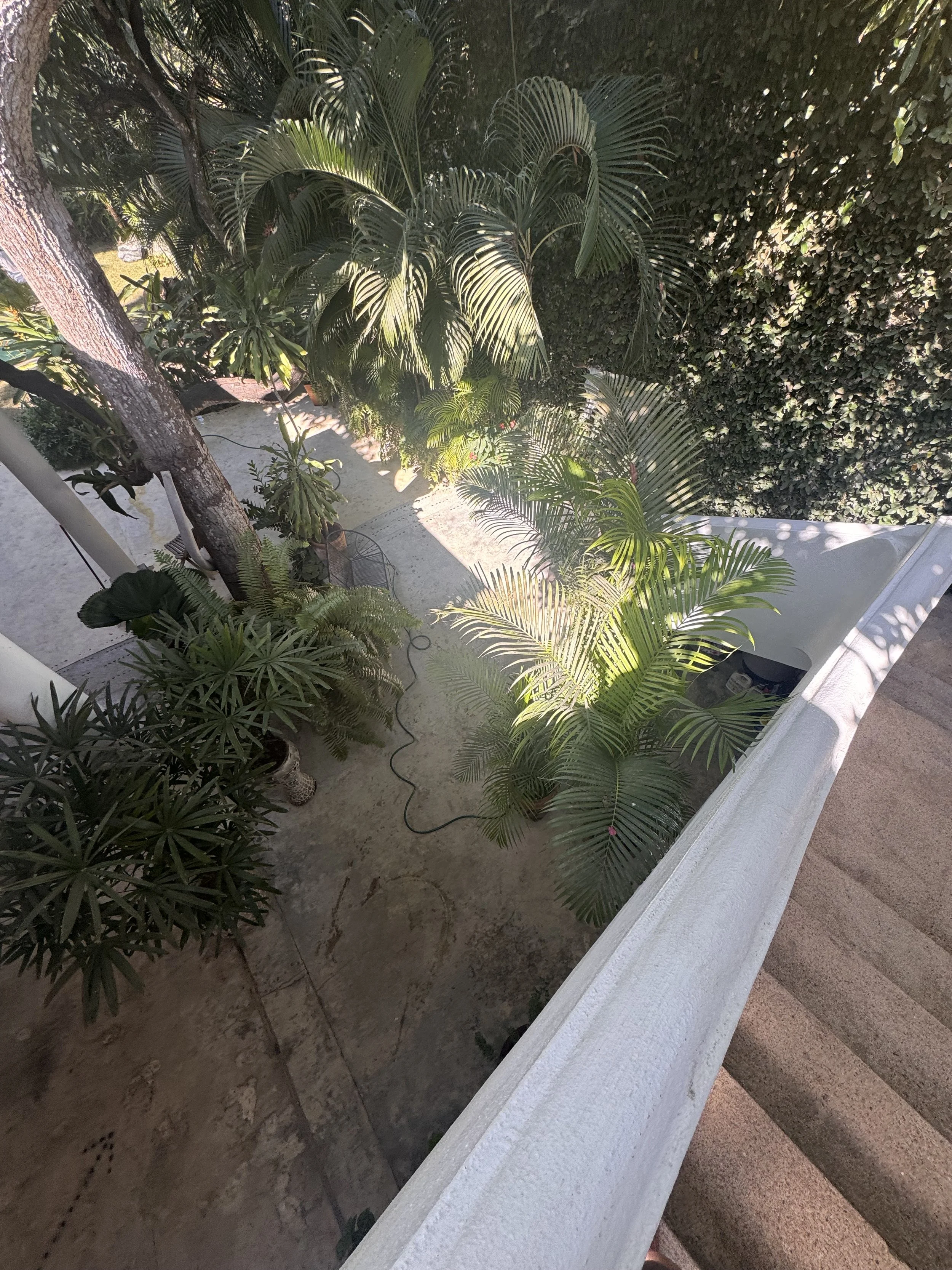 IMG_4236_Original.jpeg