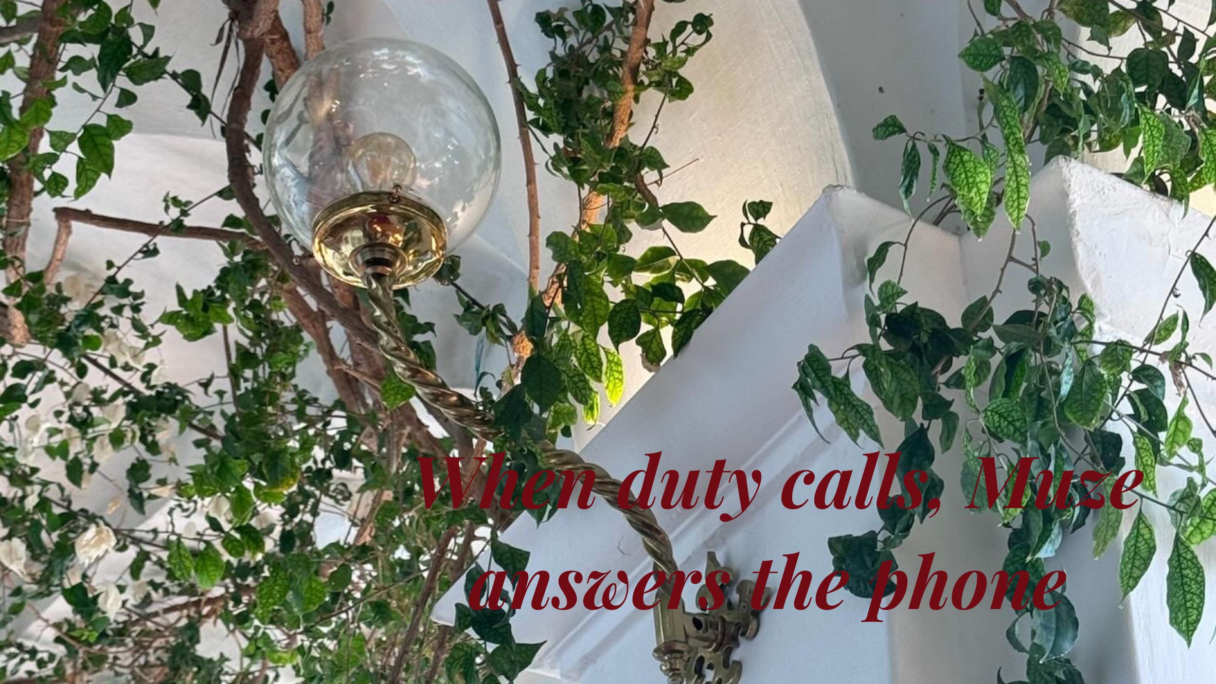 February banner image.png