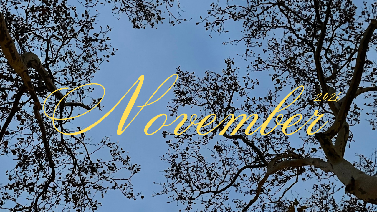 Brand Homepage Banner - Muze.png