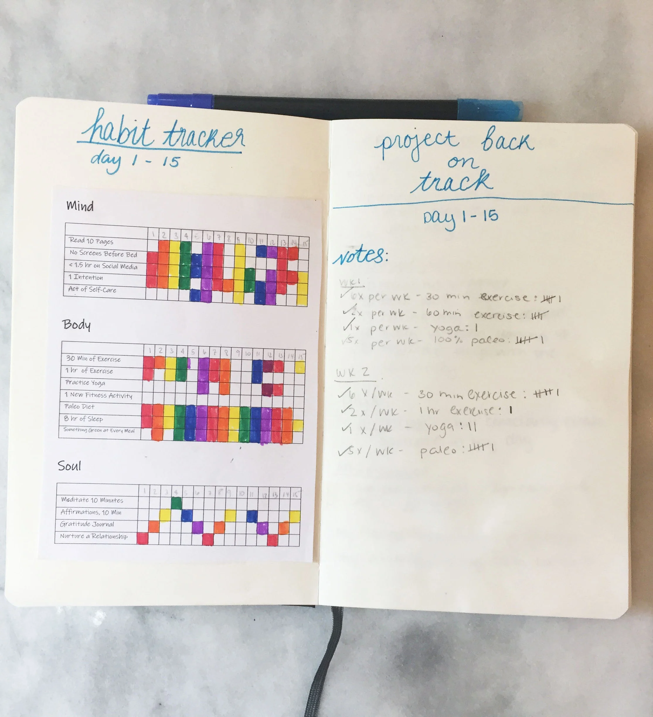 Project Back on Track: Day 15 Check-In 