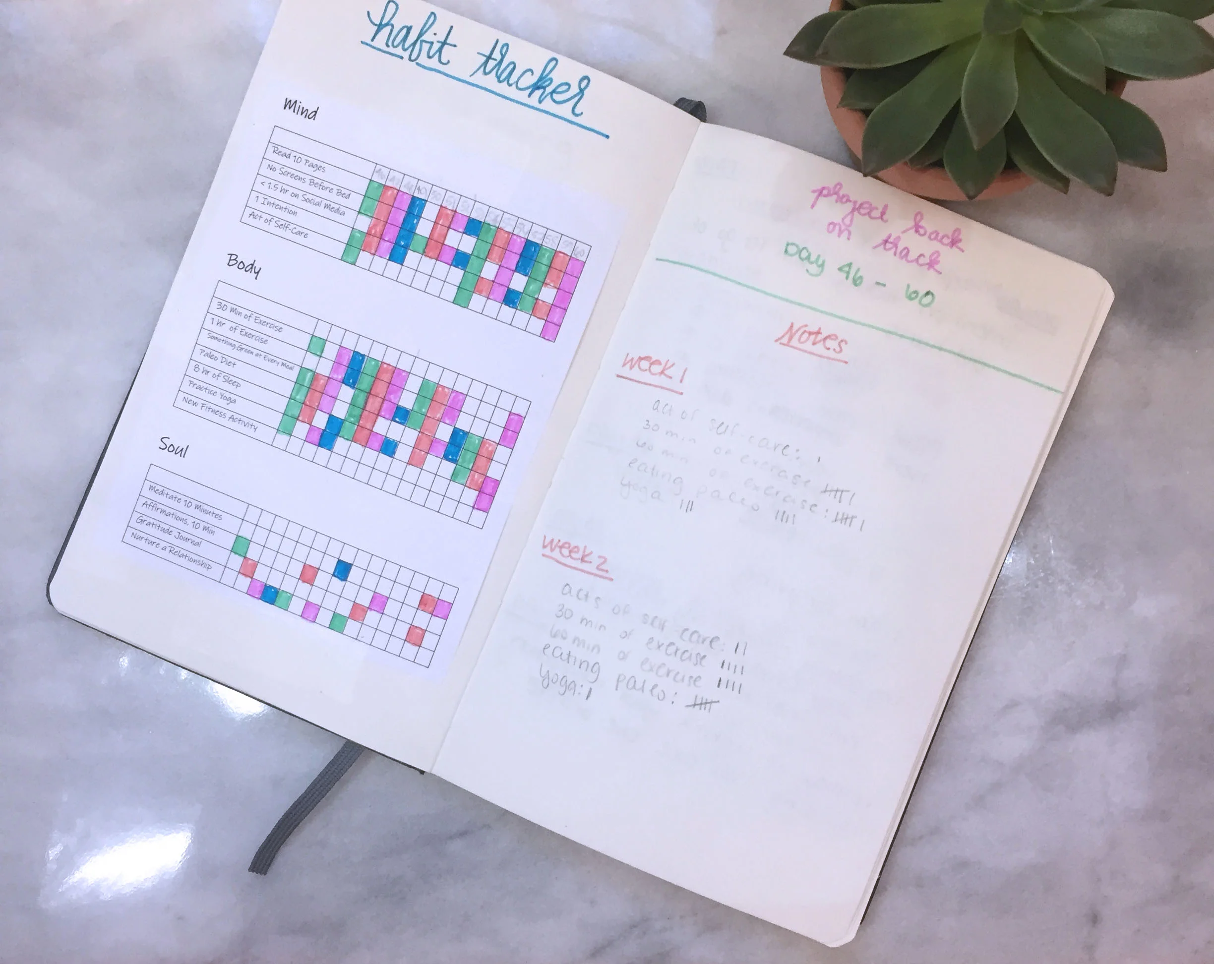 Project Back on Track: Day 60 Check-In