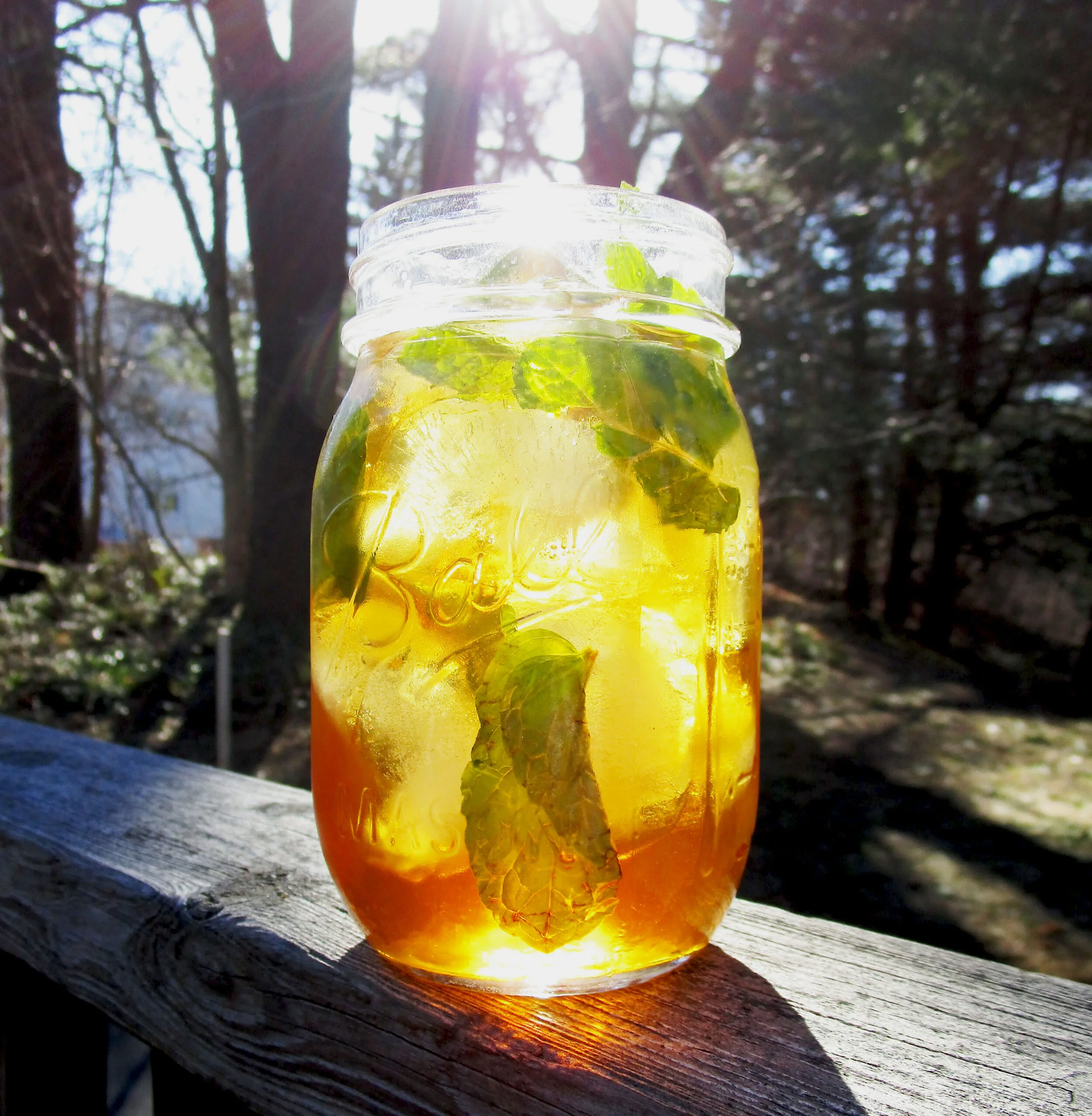 Mint Tea Julep