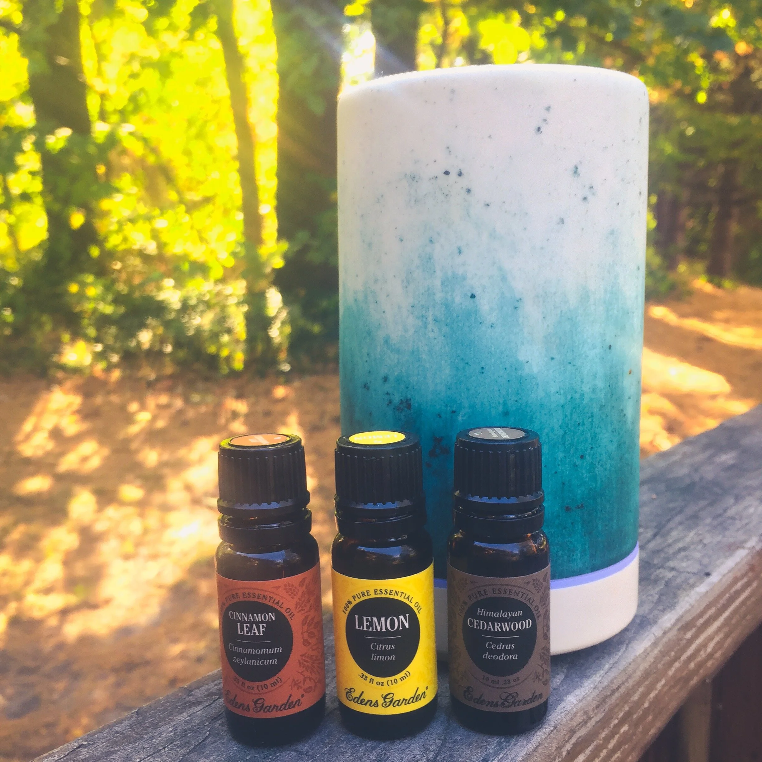 Cozy Fall Diffuser Blends